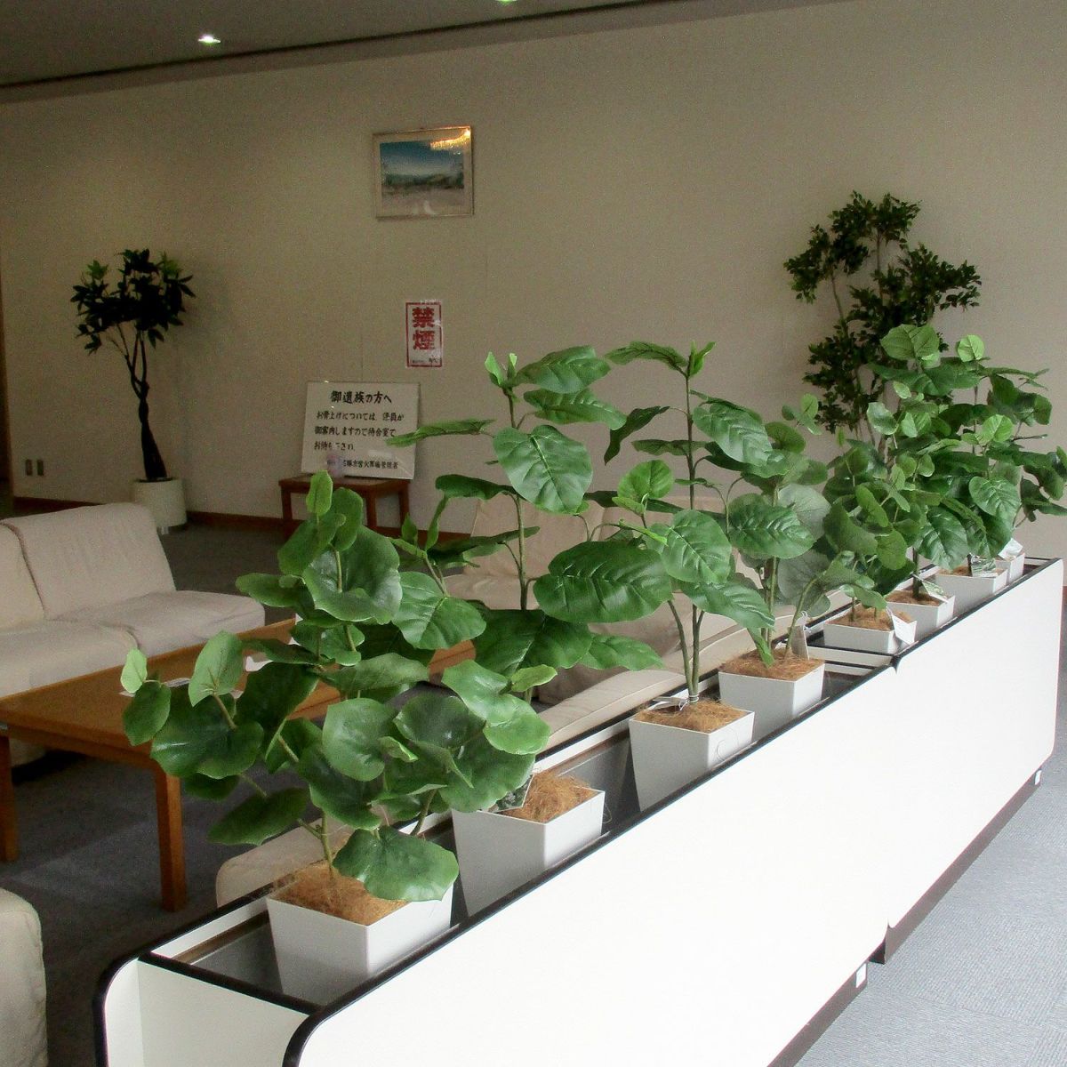 プランターボックスに。