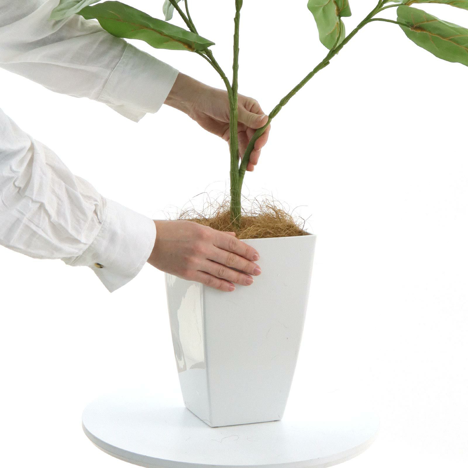 光触媒　人工観葉植物　フェイクグリーン　クネクネウンベラータwa 光触媒 人工観葉植物 ウォールグリーン フェイクグリーン