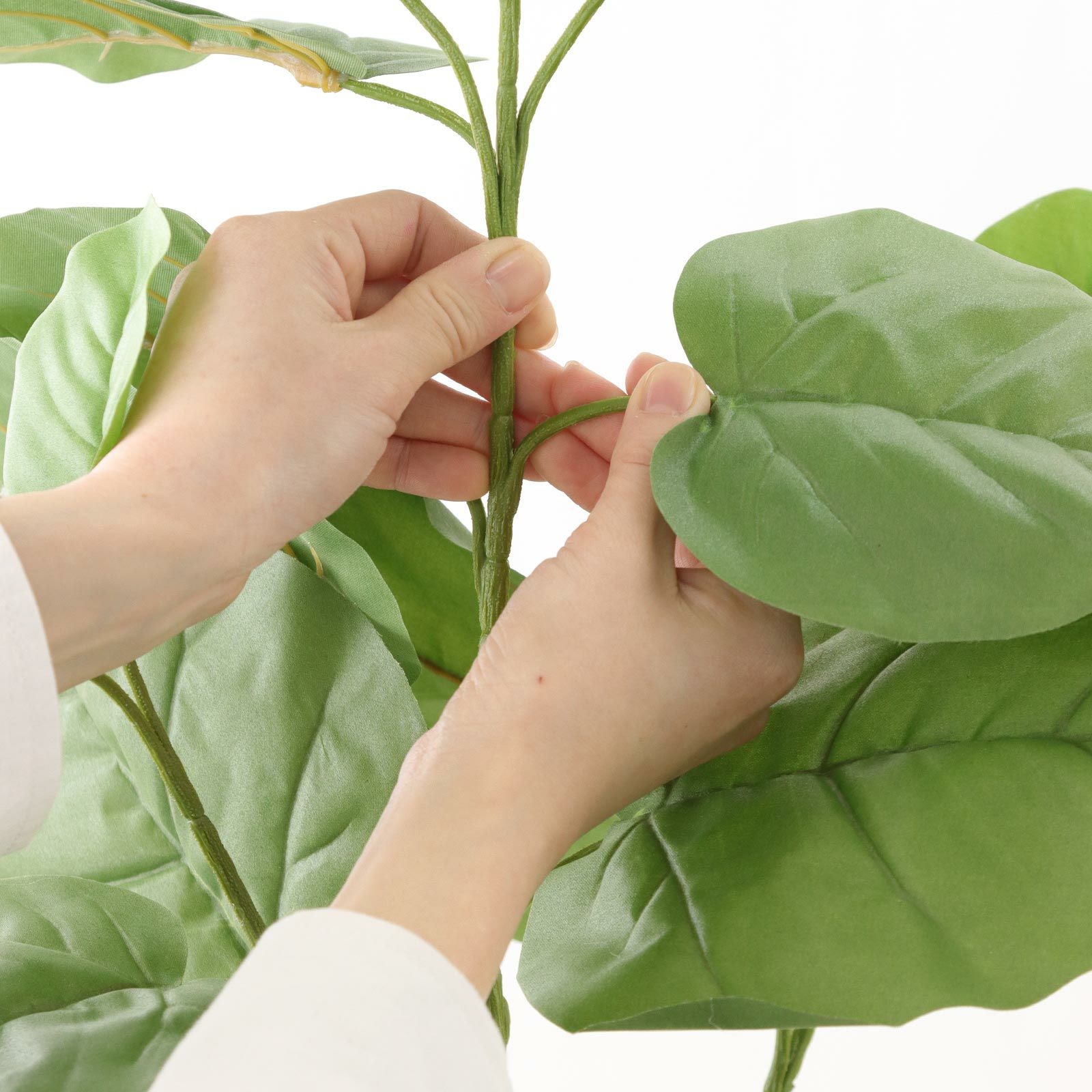 光触媒　人工観葉植物　フェイクグリーン　ツイストウンベラータ1.6 No92106 プレミアム光触媒フェイクグリーン 「ゆるやかな枝ぶり