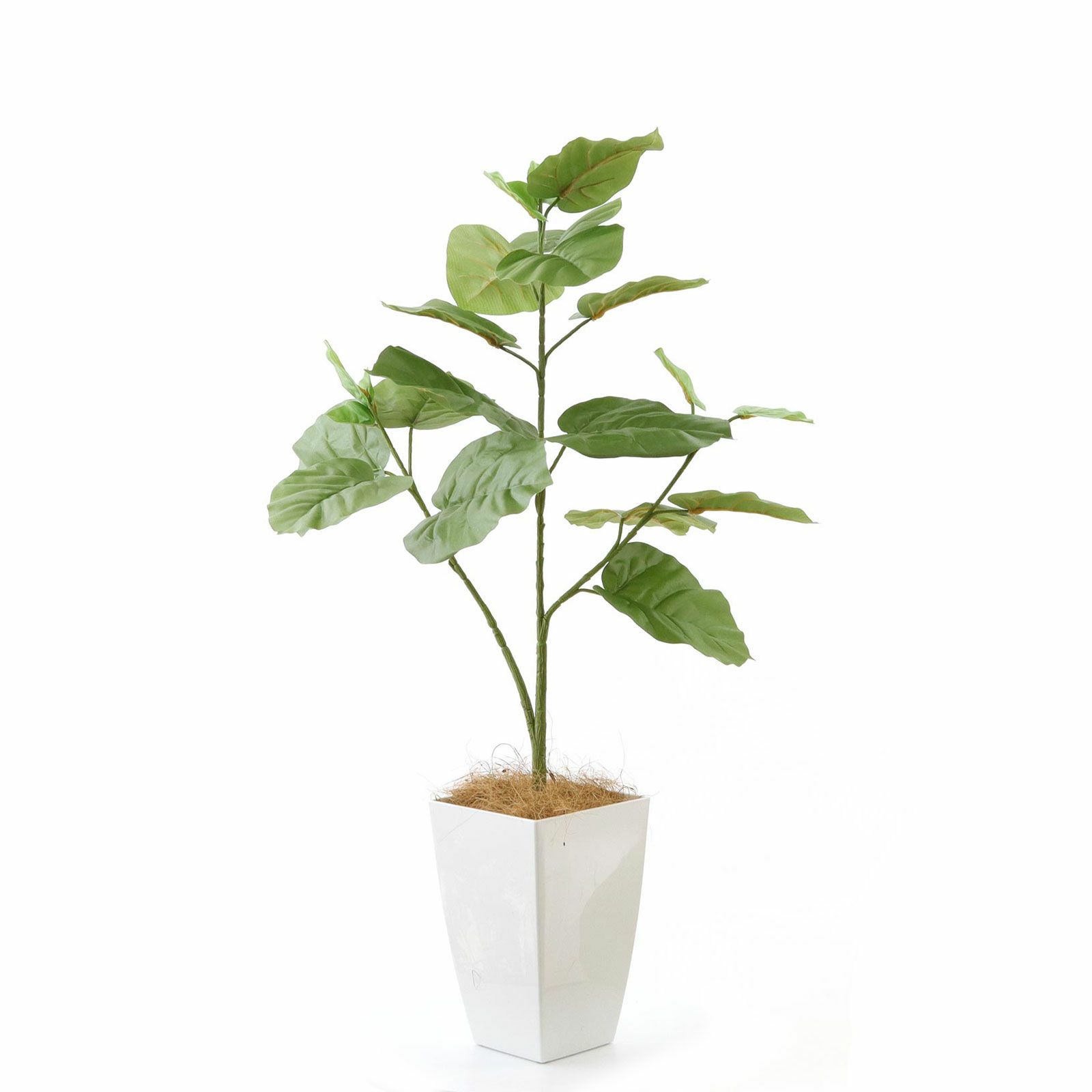 フェイクグリーン 観葉植物 フィカス ウンベラータ インテリアグリーン 造花 フェイクグリーン フィカス ウンベラータ 高さ 70cm 鉢付き 観葉