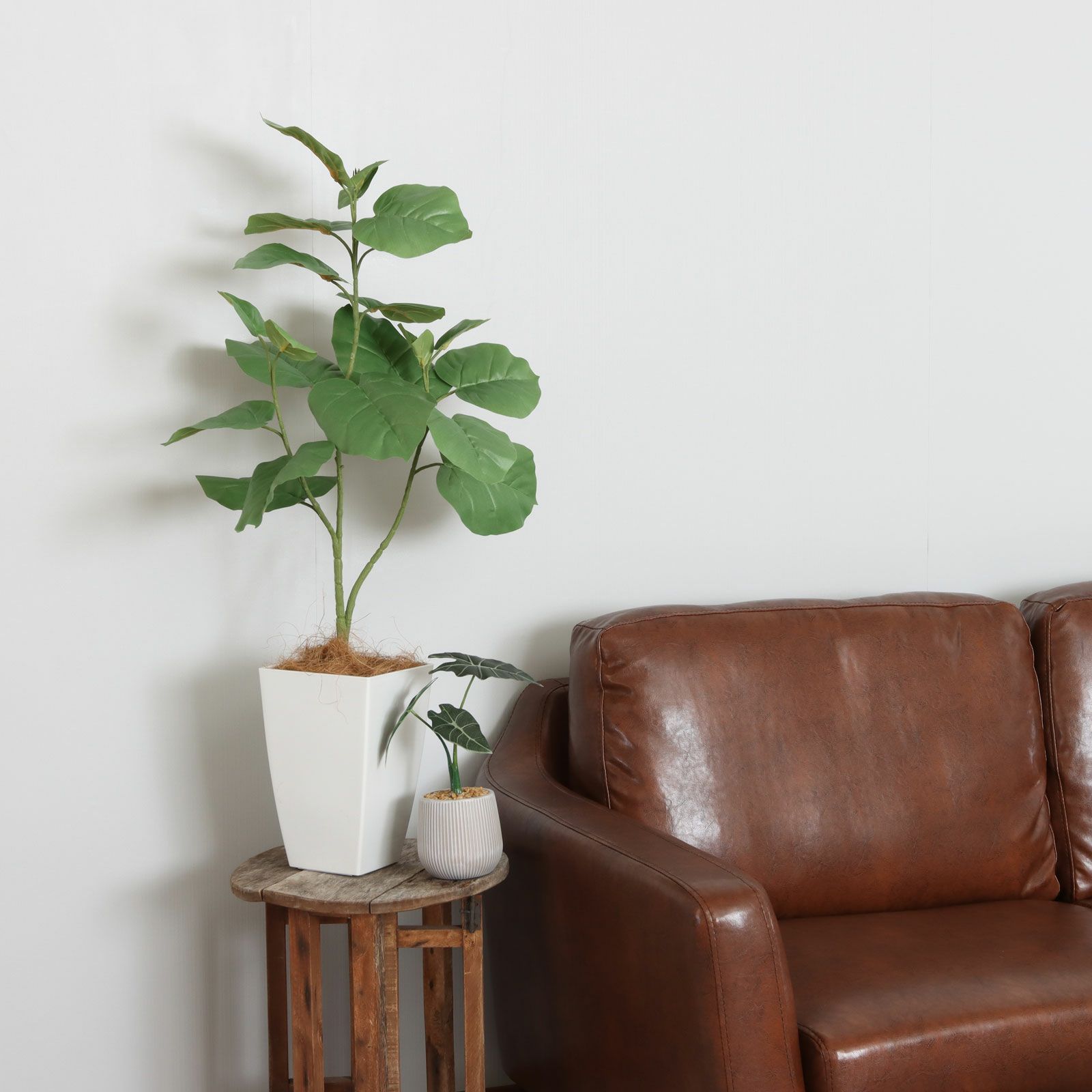 No92106 プレミアム光触媒フェイクグリーン 「ゆるやかな枝ぶり × 個性