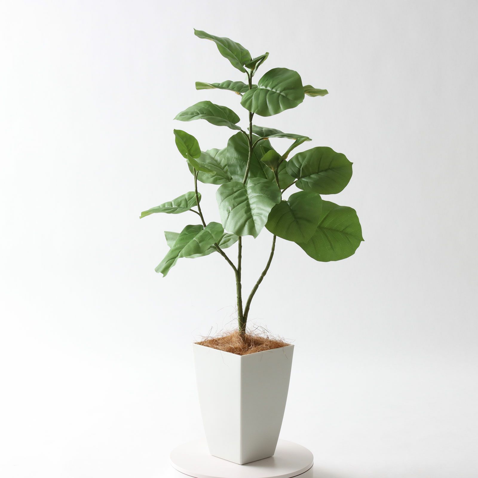 No92106 プレミアム光触媒フェイクグリーン 「ゆるやかな枝ぶり × 個性