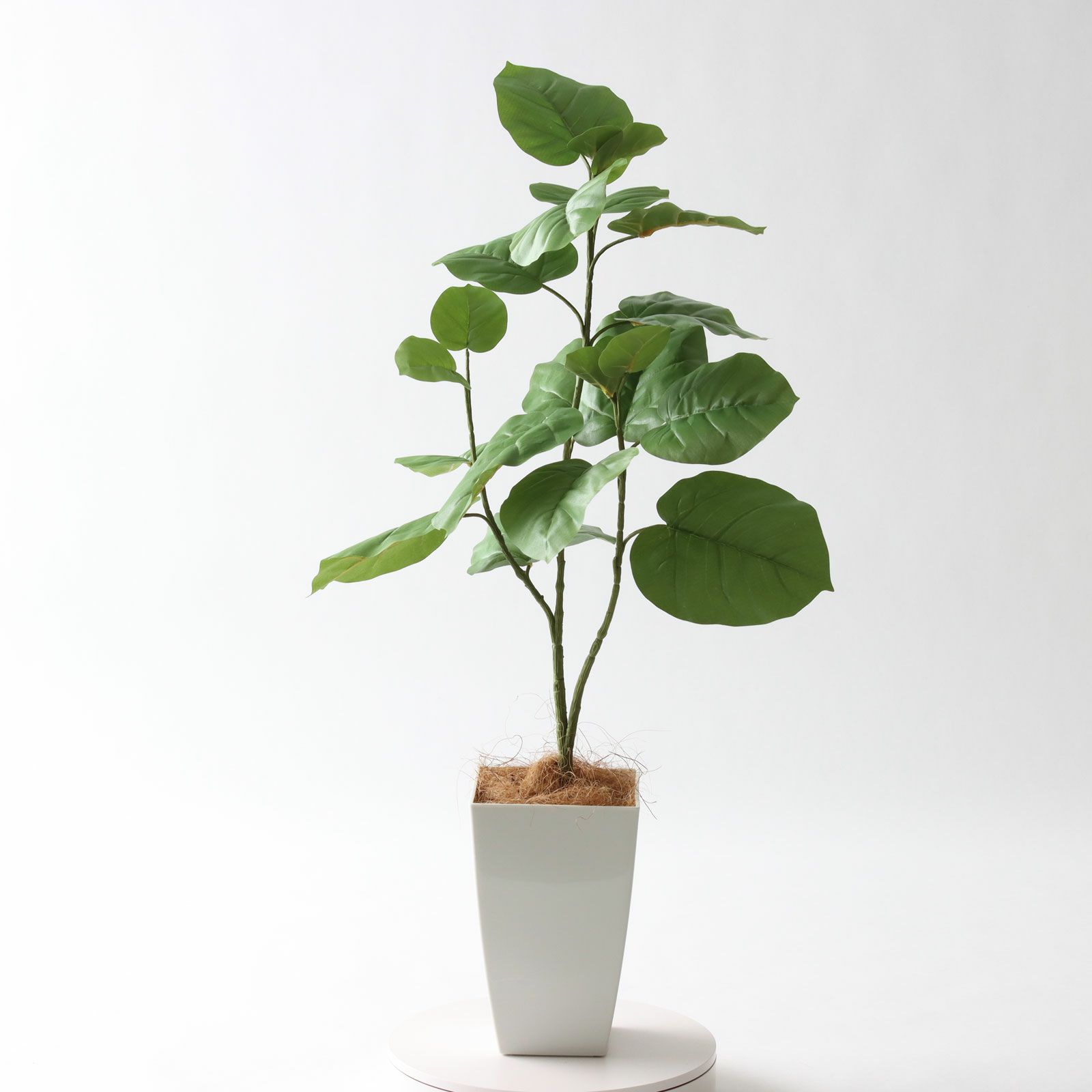 No92106 プレミアム光触媒フェイクグリーン 「ゆるやかな枝ぶり × 個性