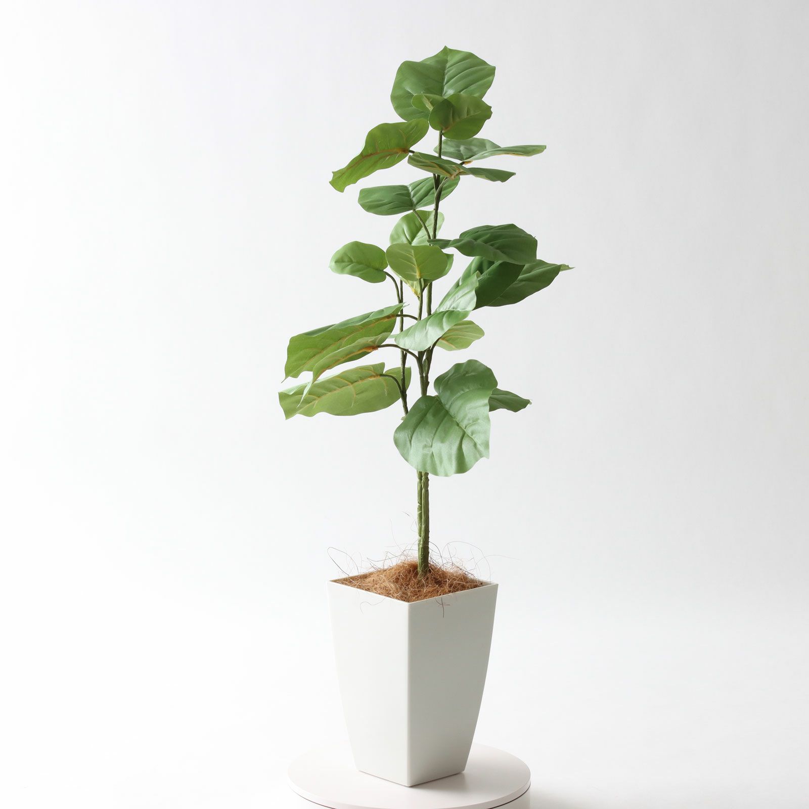 No92106 プレミアム光触媒フェイクグリーン 「ゆるやかな枝ぶり × 個性