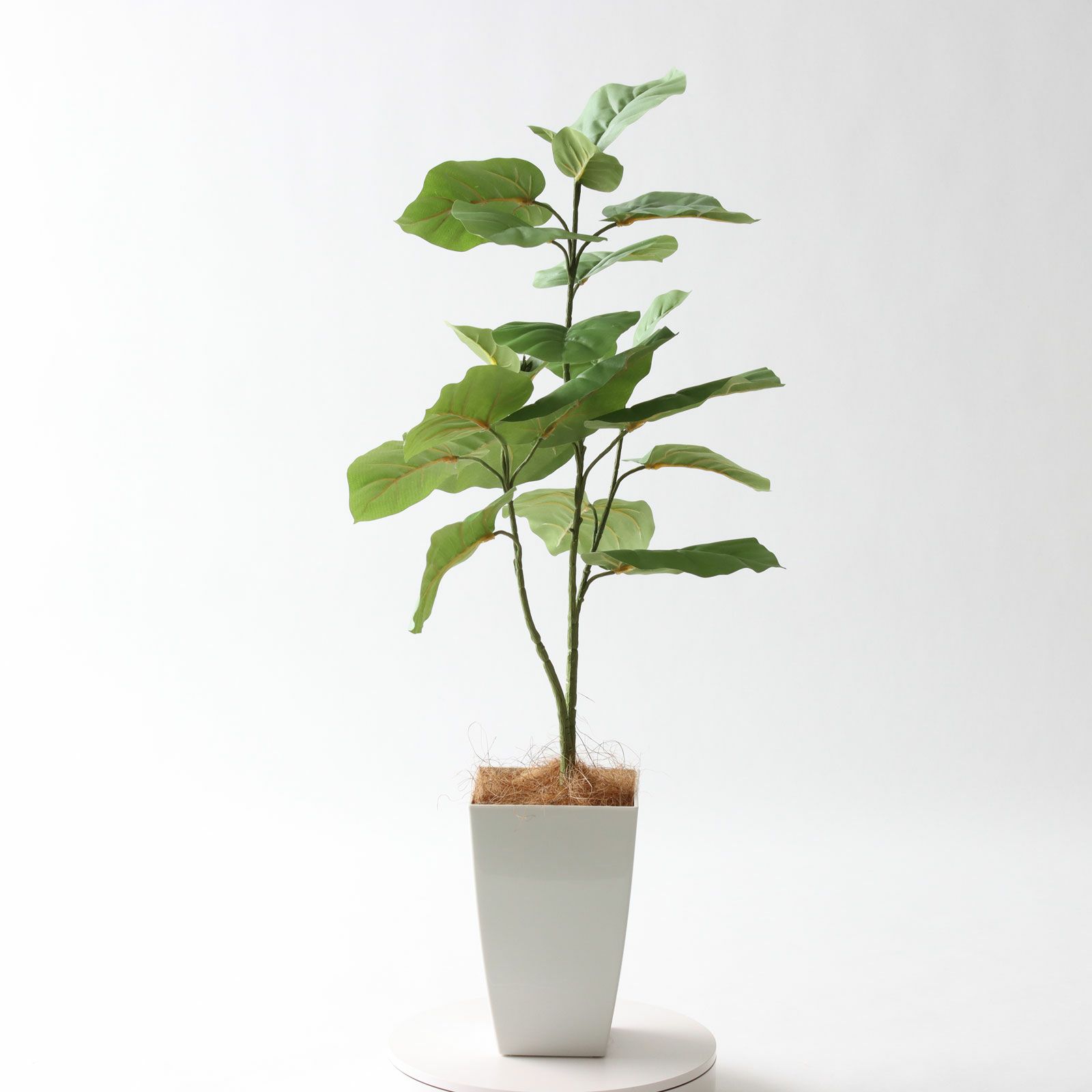 No92106 プレミアム光触媒フェイクグリーン 「ゆるやかな枝ぶり × 個性