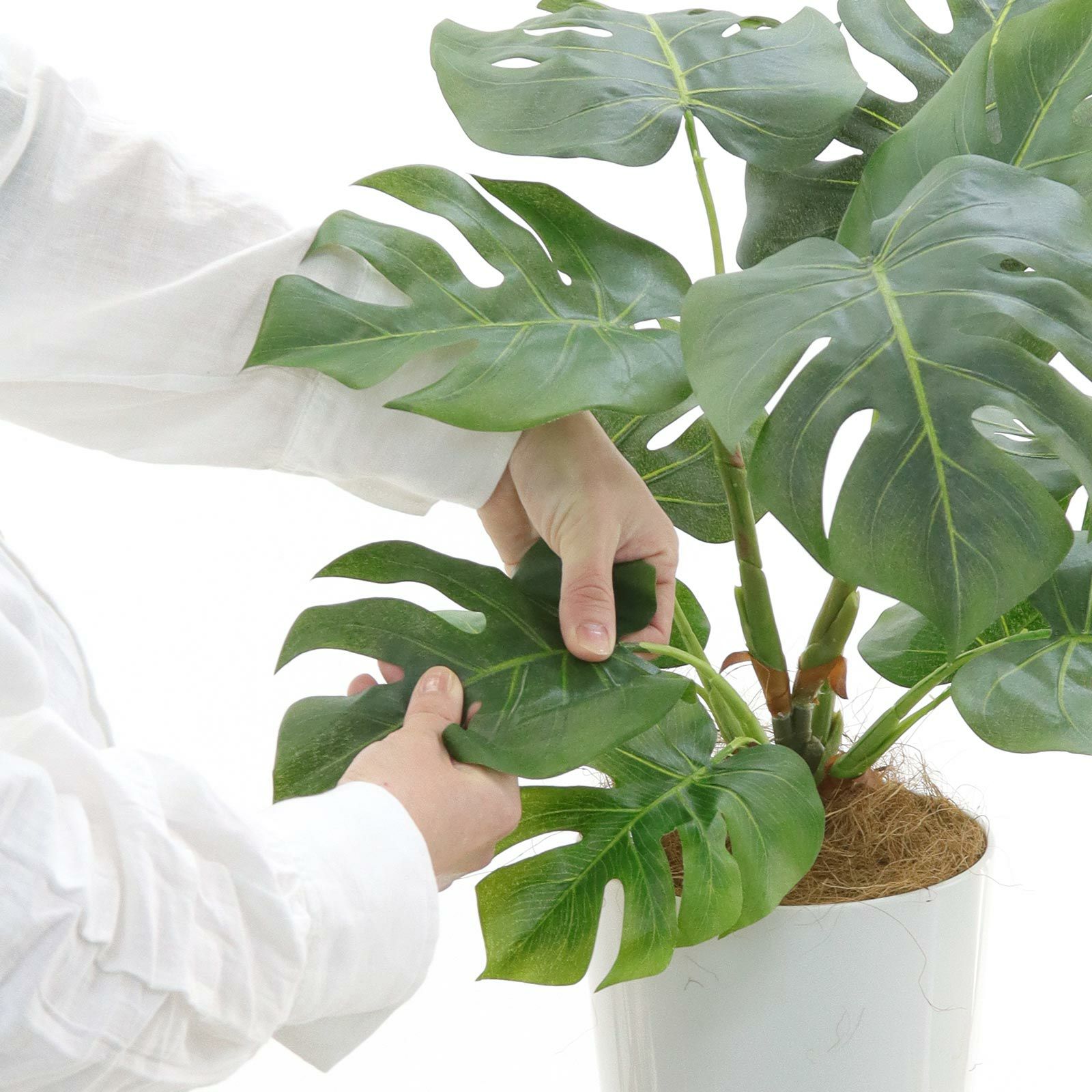 光触媒　人工観葉植物　ウォールグリーン　フェイクグリーン　ヒメモンステラヘゴ90 光触媒 人工観葉植物 ウォールグリーン フェイクグリーン ヒメ