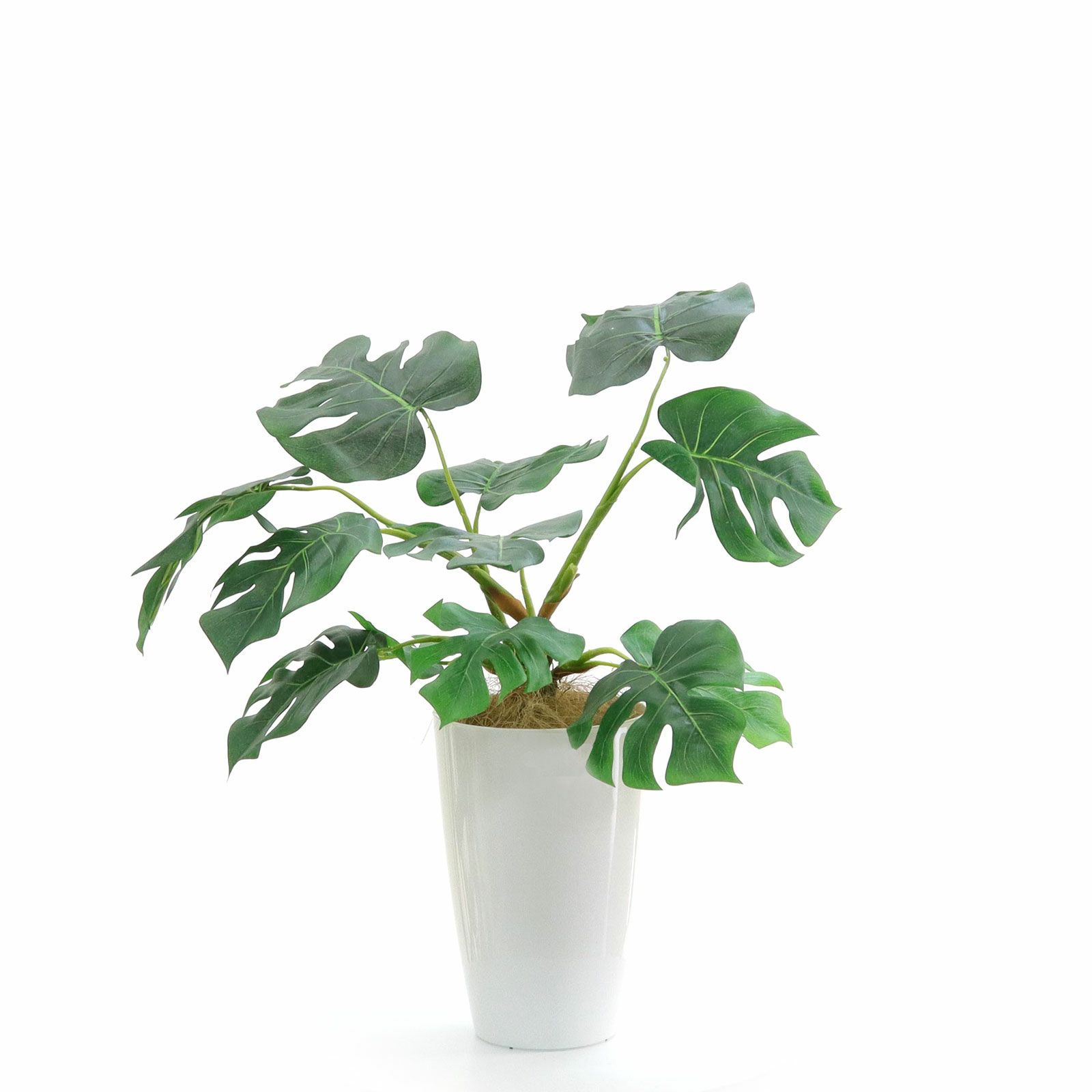 定価3万円観葉植物フェイク ウンベラータの観葉植物 フェイクグリーン | 造花専門店プリマ