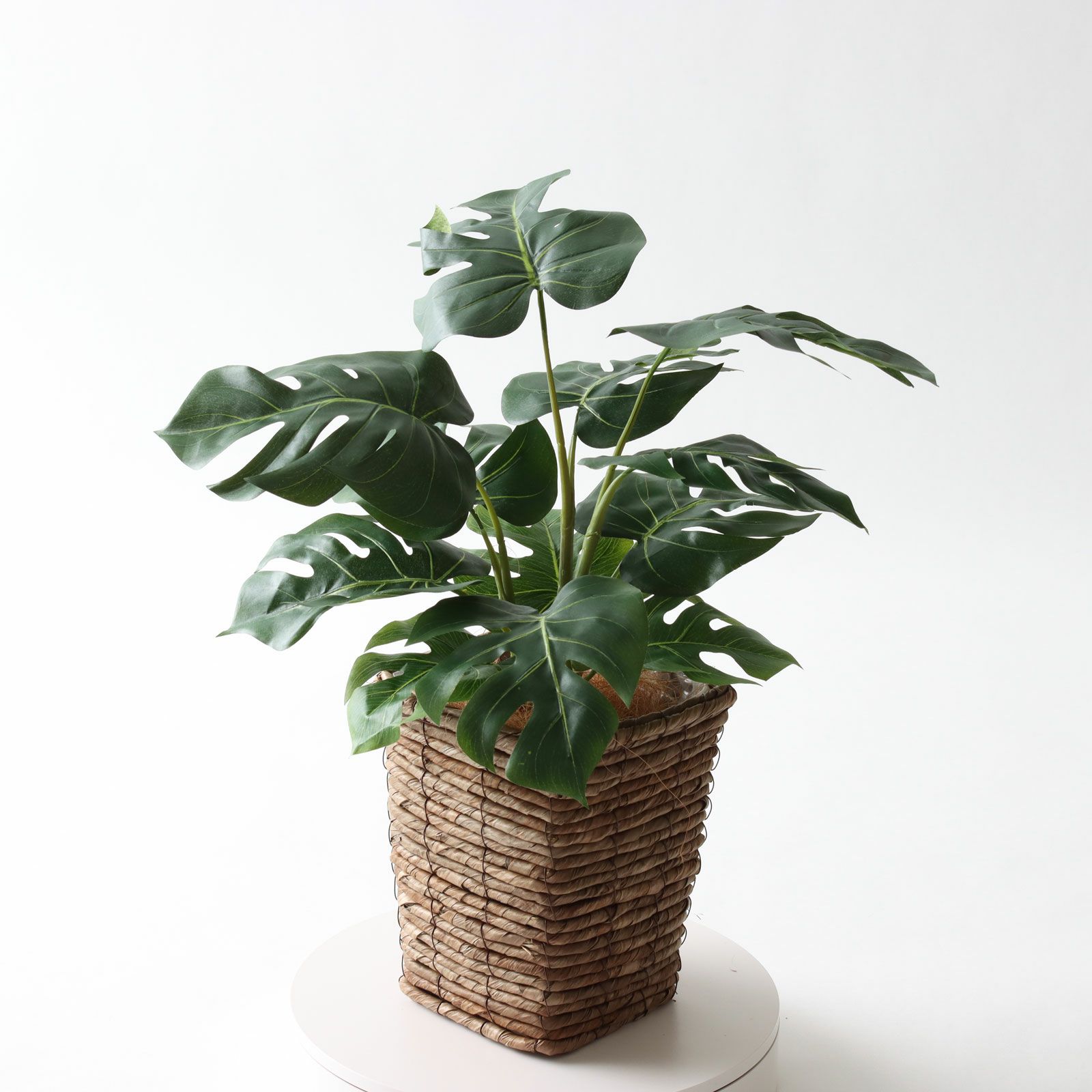 360度回転イメージ