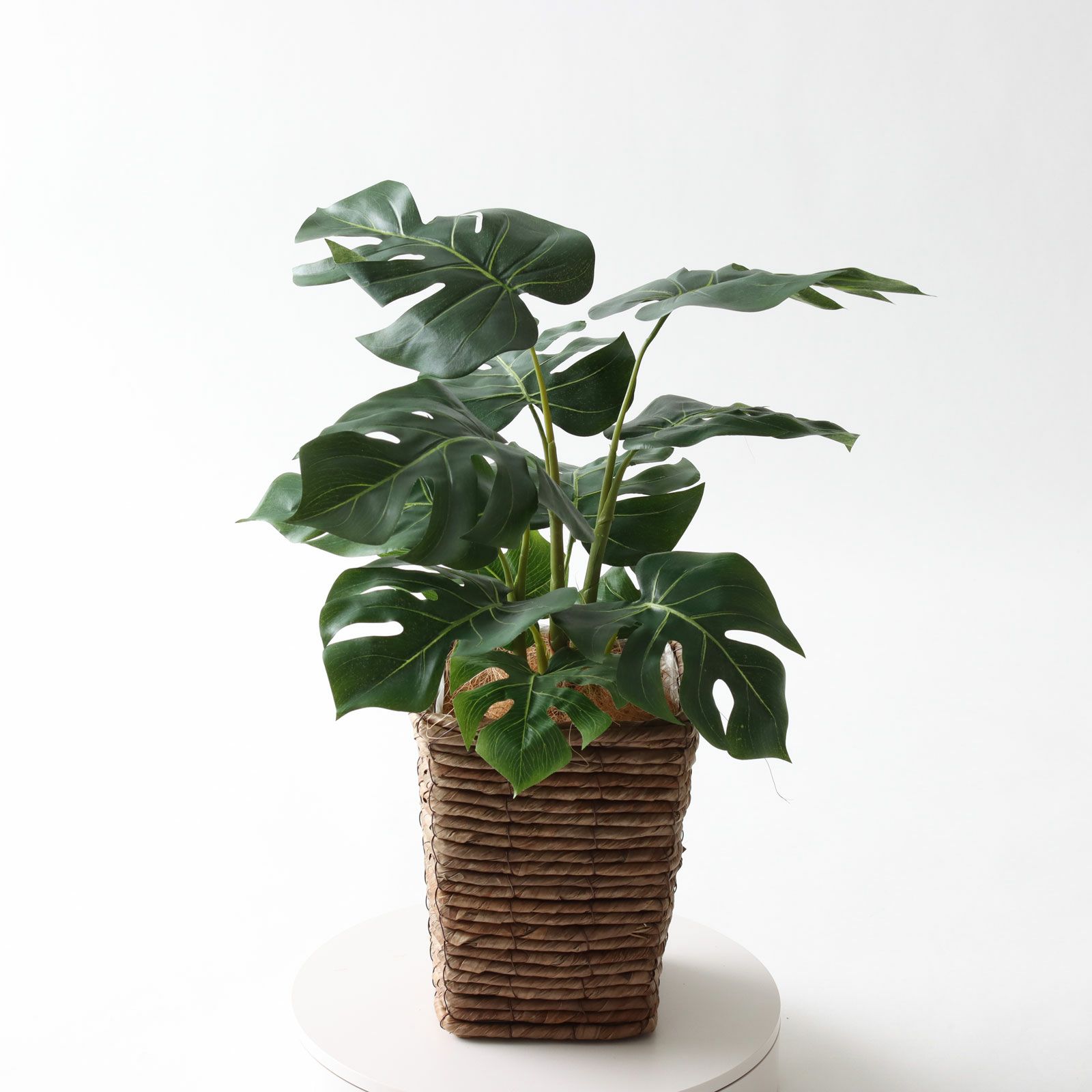 No92451 プレミアム光触媒フェイクグリーン 「個性際立つ12枚の葉