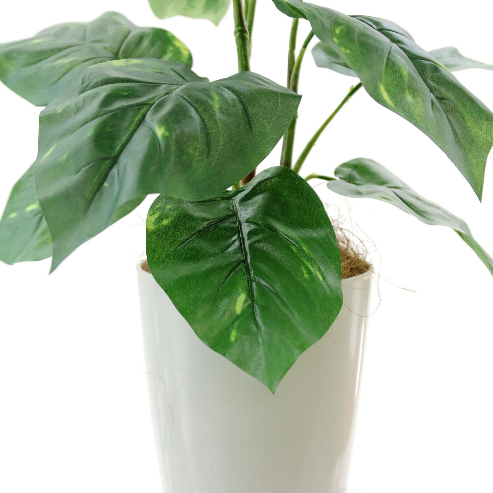 No93691 プレミアム光触媒フェイクグリーン 「つややかな葉 × 柔らかな