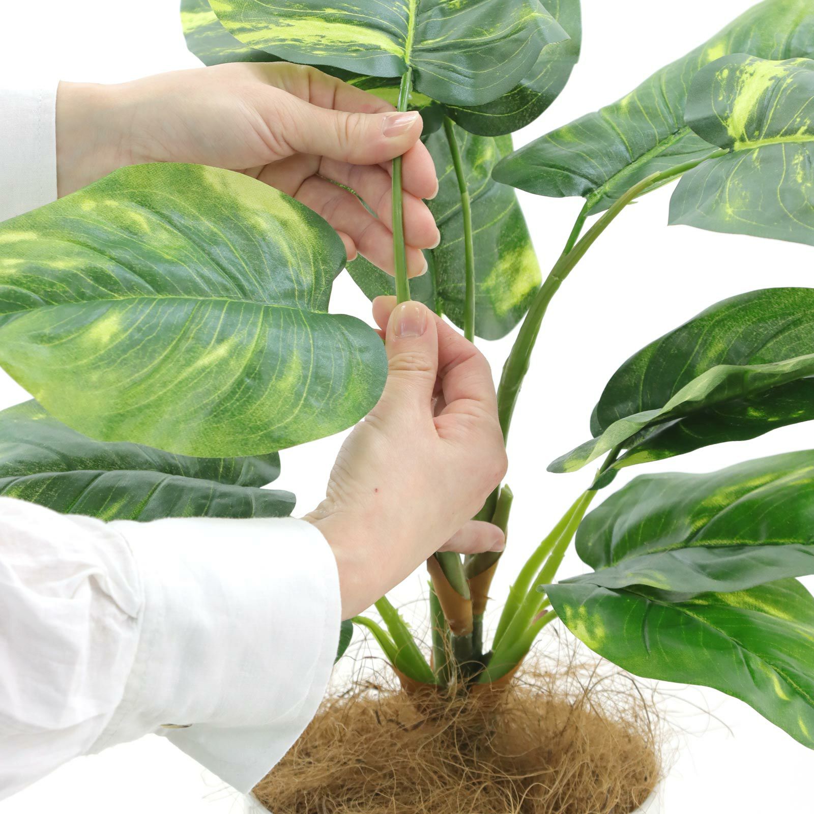 No93691 プレミアム光触媒フェイクグリーン 「つややかな葉