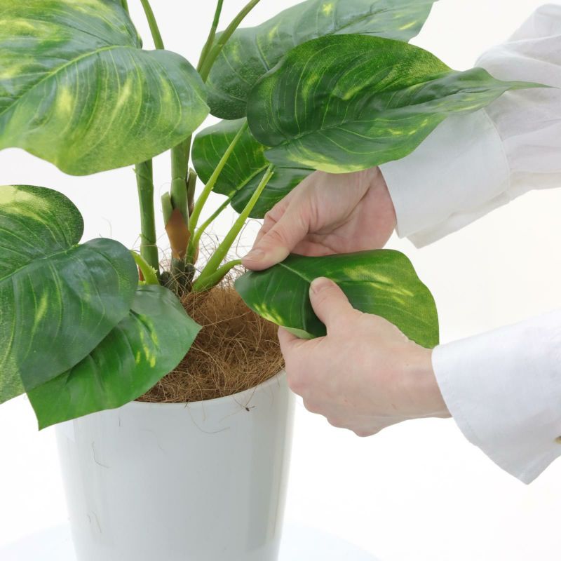 光触媒 人工観葉植物 ウォールグリーン フェイクグリーン 壁掛け