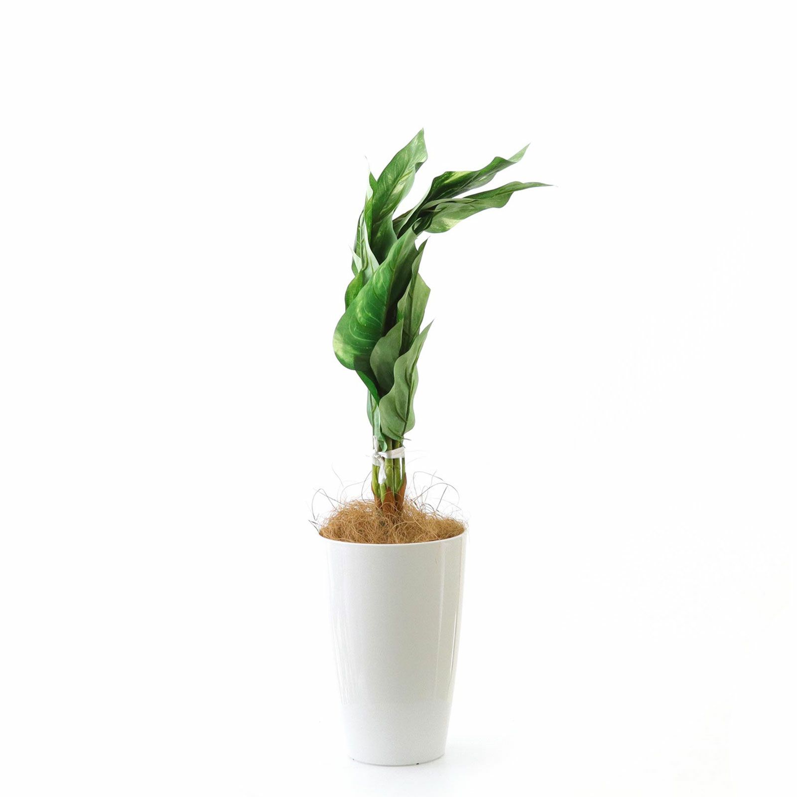 光触媒 人工観葉植物 光の園 フレッシュポトス 384A50 光触媒 人工観葉植物 光の園 フレッシュポトス 384A50