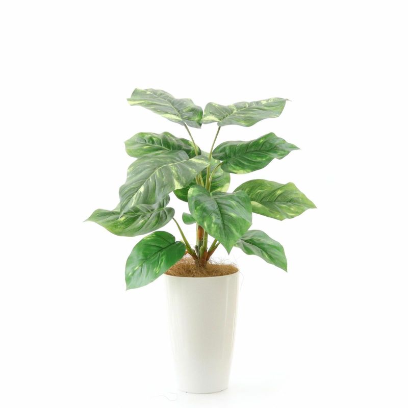 No93691 プレミアム光触媒フェイクグリーン 「つややかな葉 × 柔らかな