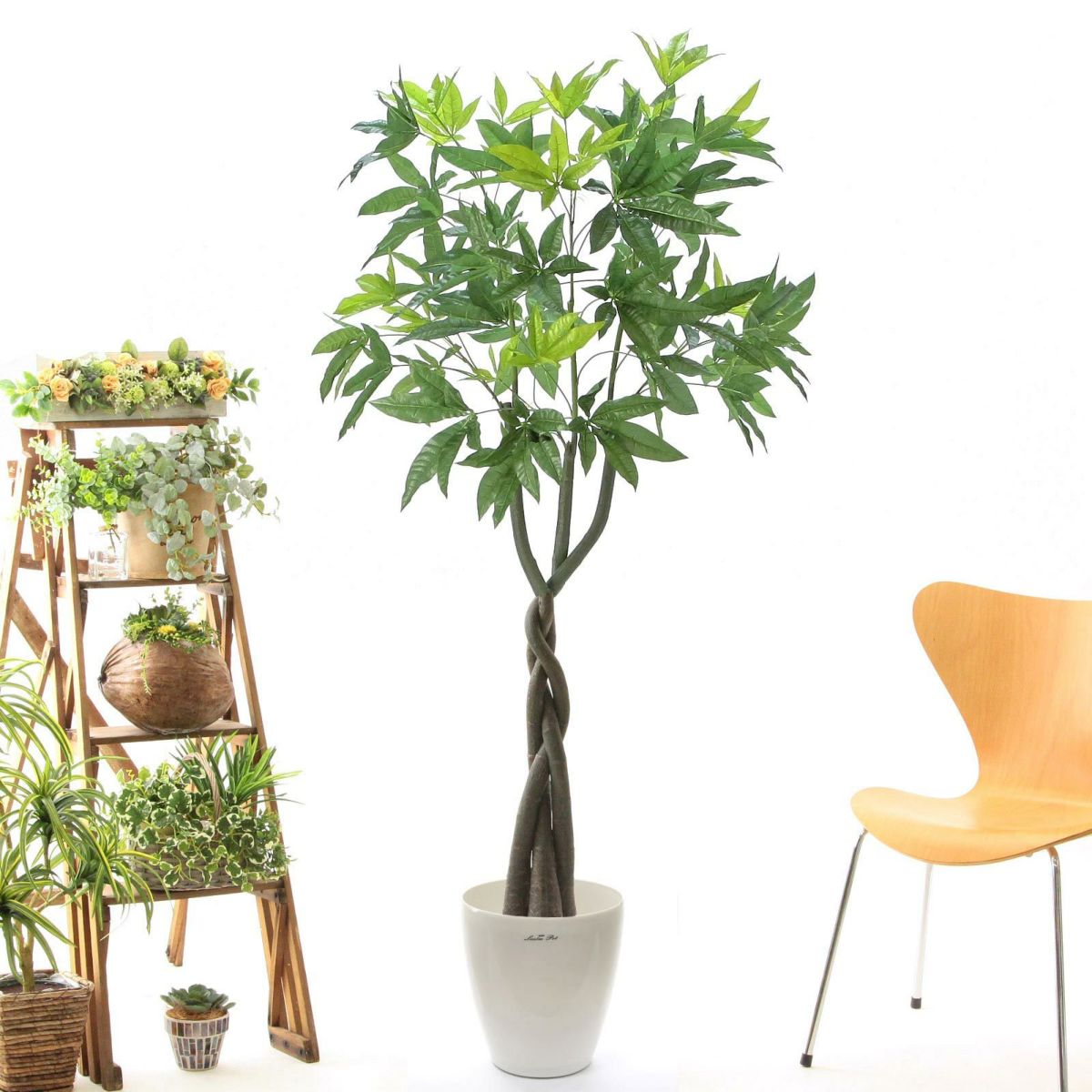 ラスターポット265（+1500円）