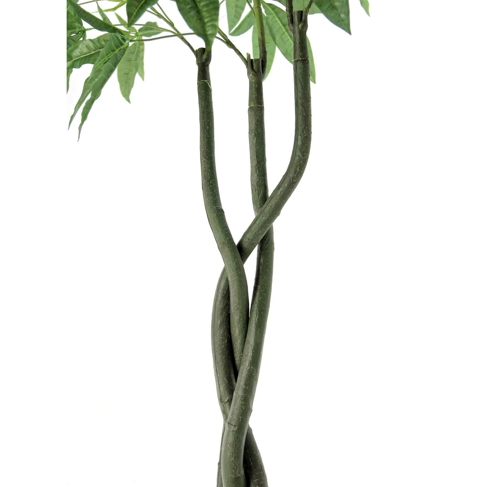 【ねじり幹の存在感◎】パキラ 大株 観葉植物＊育てやすく縁起も良いグリーン 観葉植物 パキラ 8号 ねじり 竹バスケット 付き | 観葉植物なら