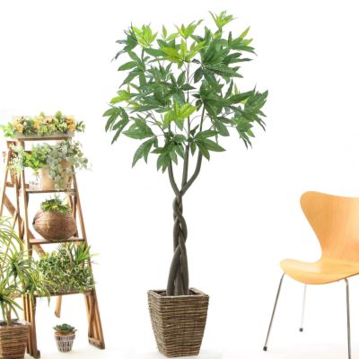 光触媒　人工観葉植物  造花　ウォールグリーン　イボタノキ高さ150 高さ150-180cm | プレミアム光触媒フェイクグリーン 造花ドット