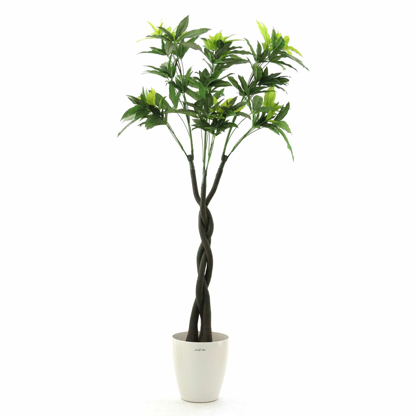 パキラ 2本幹　光触媒　フェイクグリーン観葉植物　大型 000000000028-25.jpg?t=