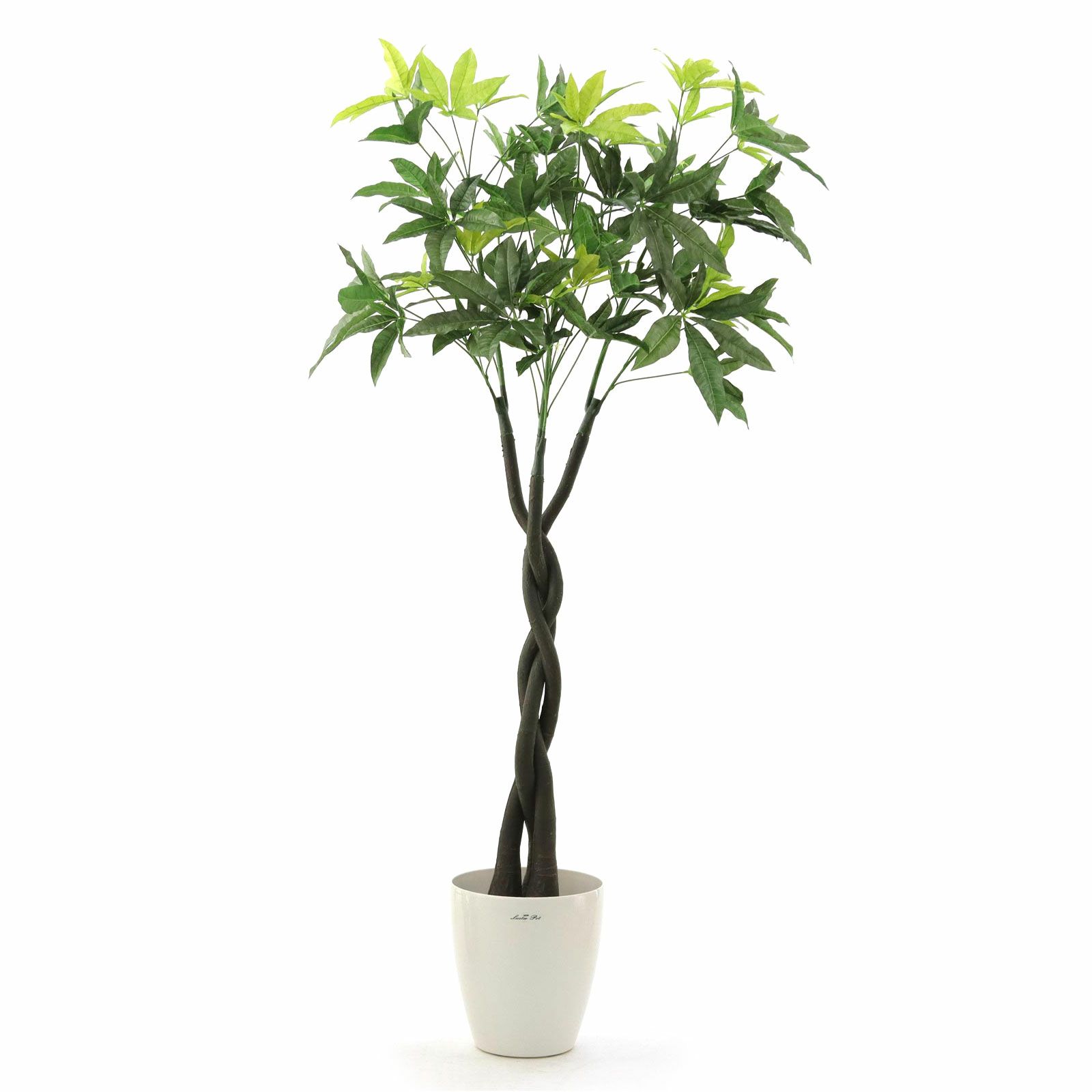 000000000028-26.jpg?t=