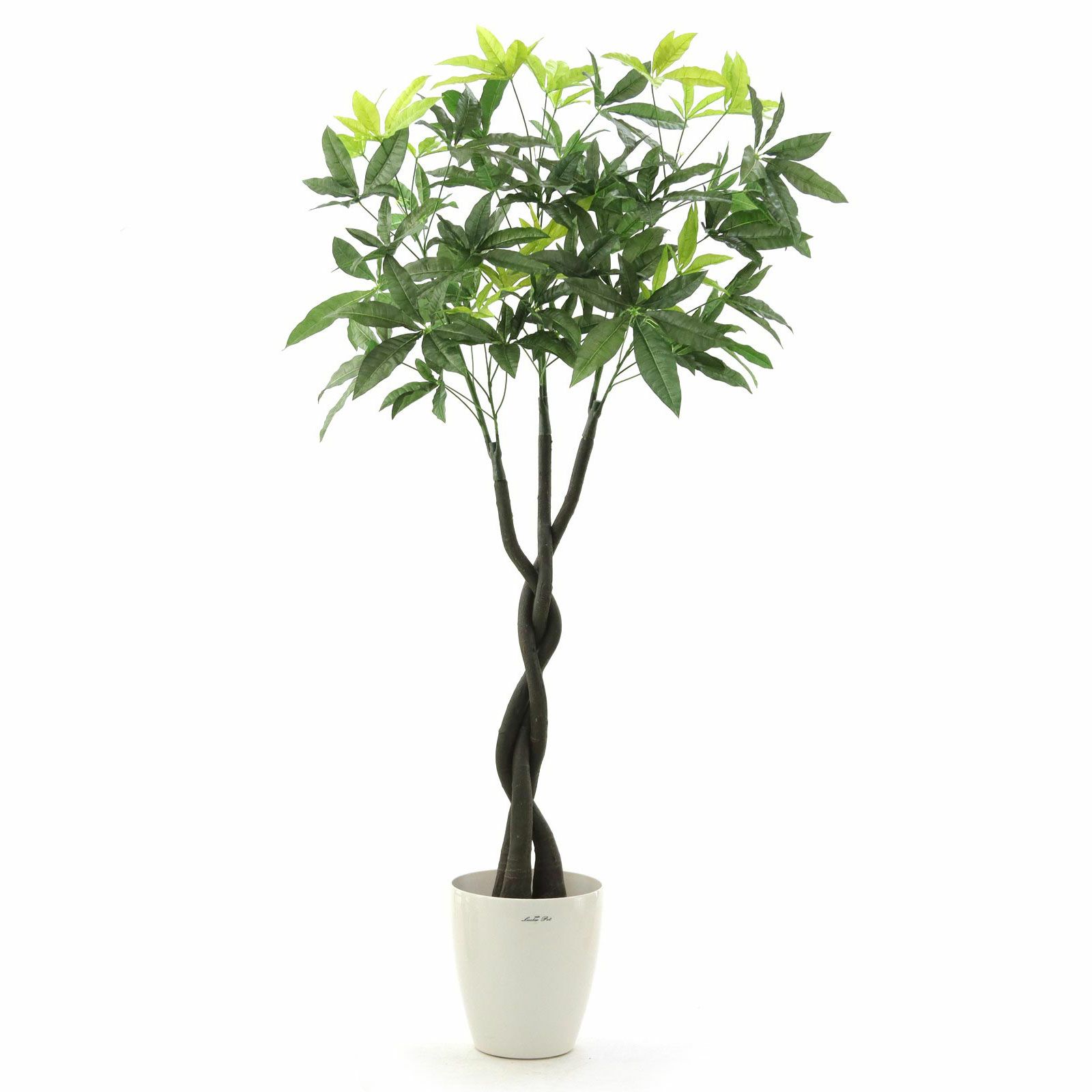 000000000028-28.jpg?t=