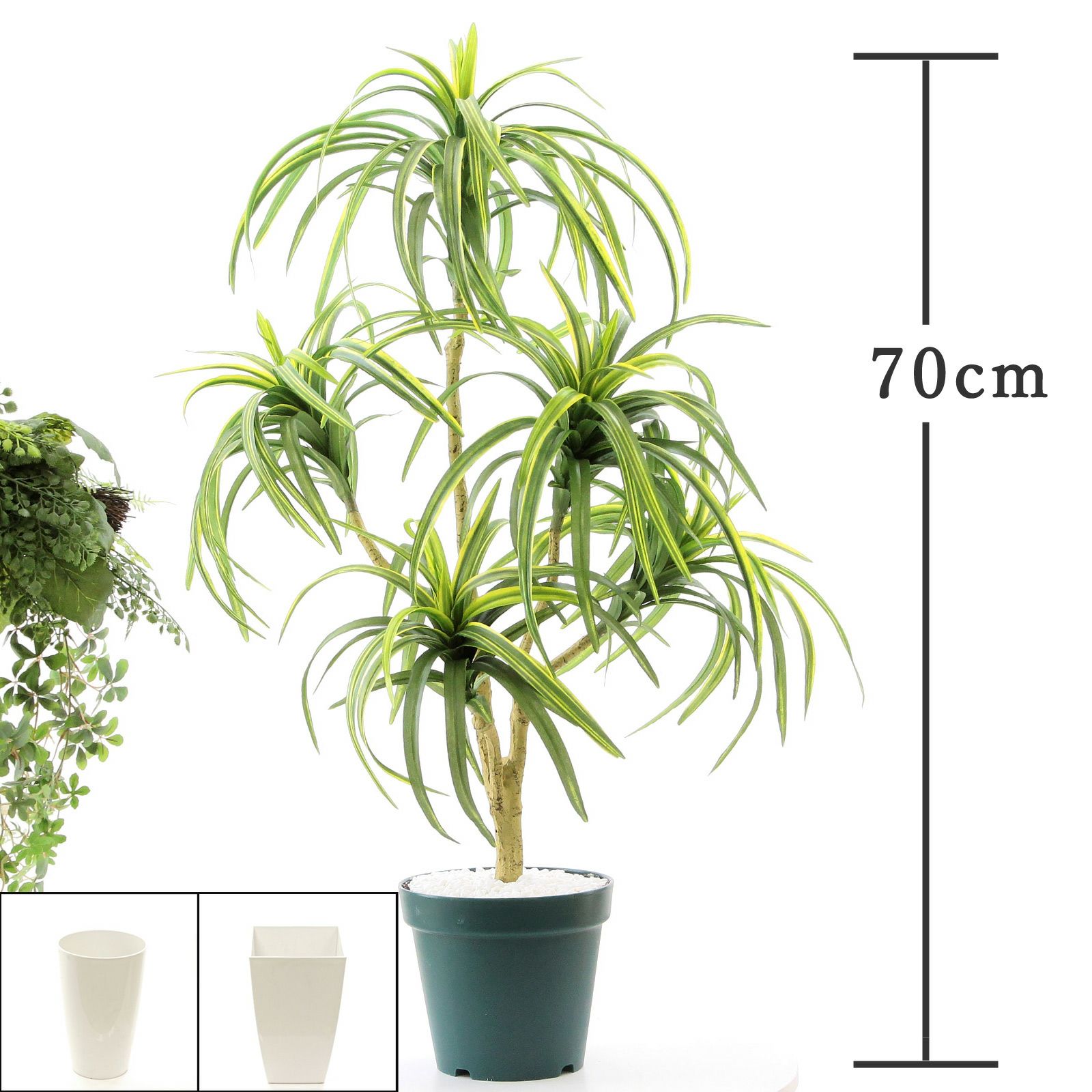 No8058 プレミアム光触媒フェイクグリーン ドラセナ コンシンネ 5枝 高さ70cm 幅40cm 奥行50cm 造花ドットコム Zouka Com