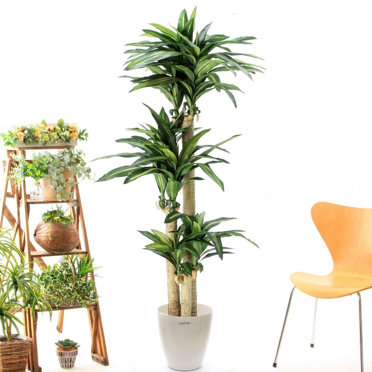 ラスターポット265（+1500円）