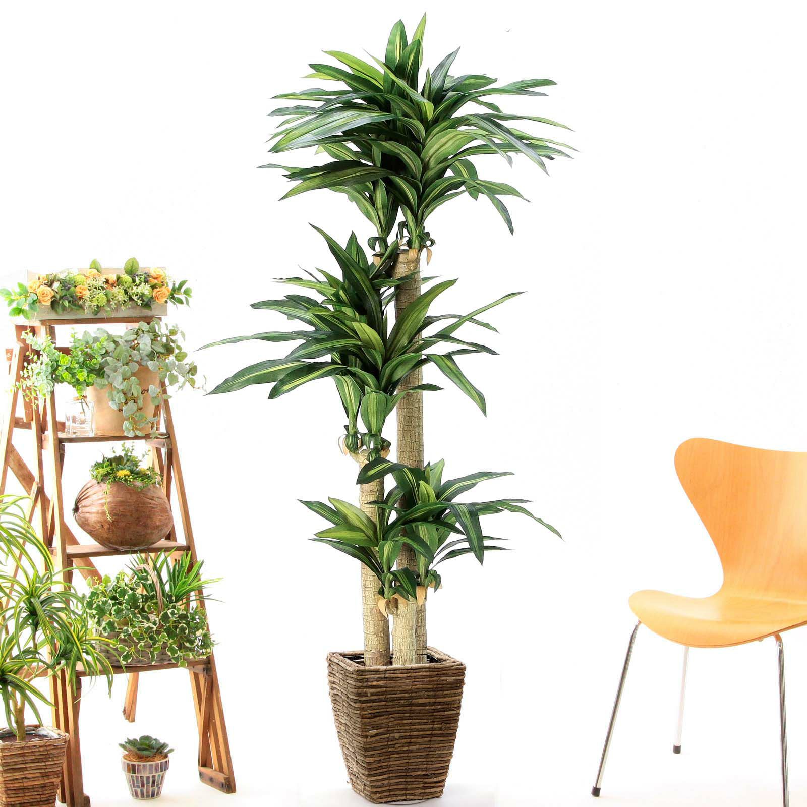 No8123 プレミアム光触媒フェイクグリーン 「爽やかな葉色 × 安定感