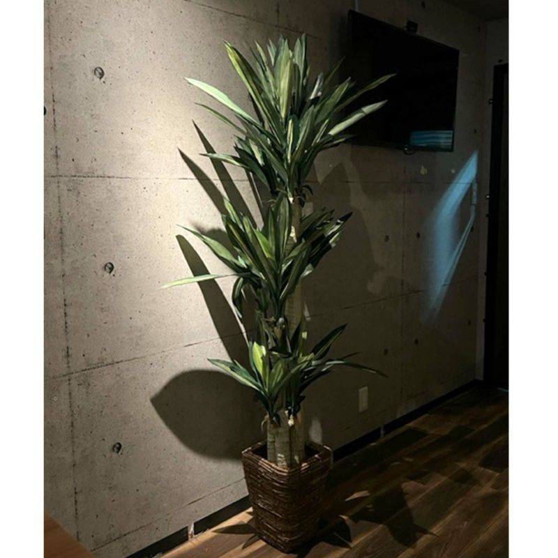 16482円 直営ストア フェイクグリーン 観葉植物 ドラセナ 約W43×D42×H84cm