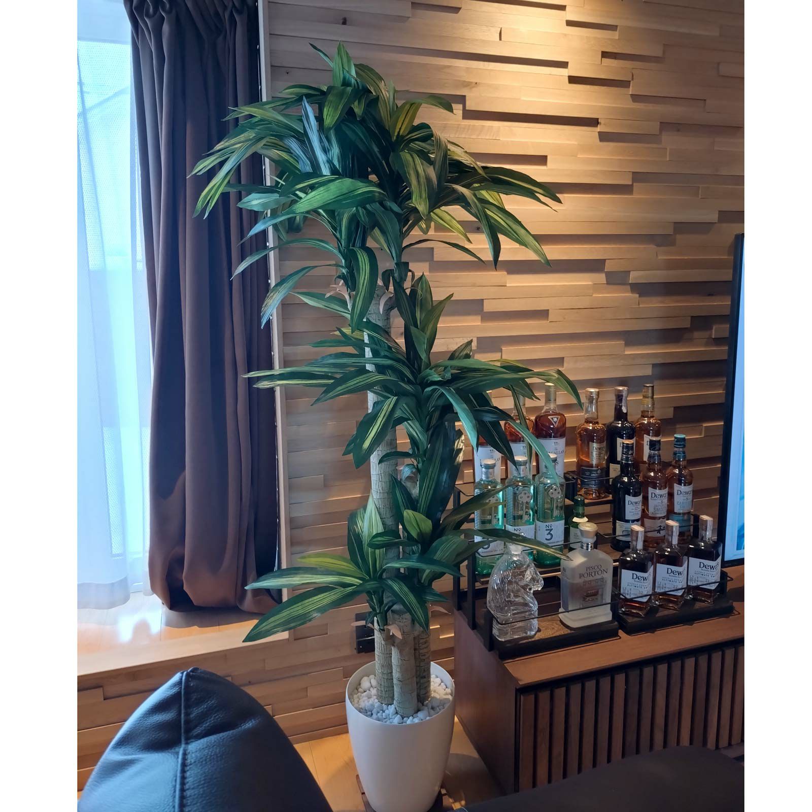 No8123 プレミアム光触媒フェイクグリーン 「爽やかな葉色 × 安定感