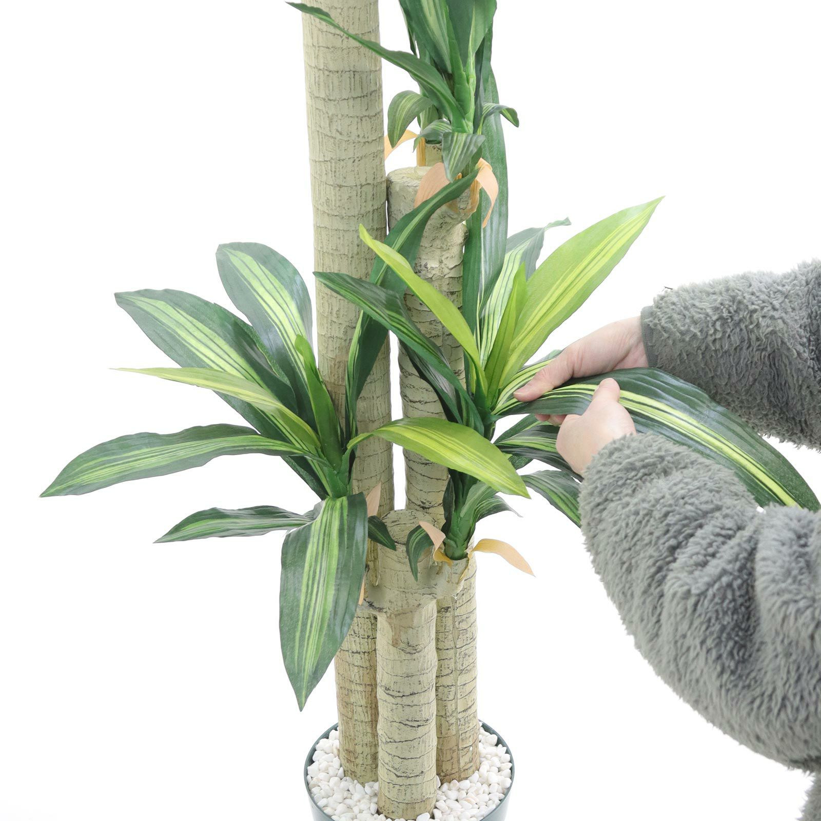 No8123 プレミアム光触媒フェイクグリーン 「爽やかな葉色 × 安定感