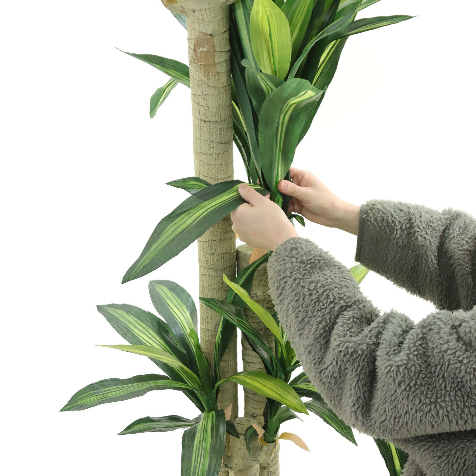 000000000035-21.jpg?t=