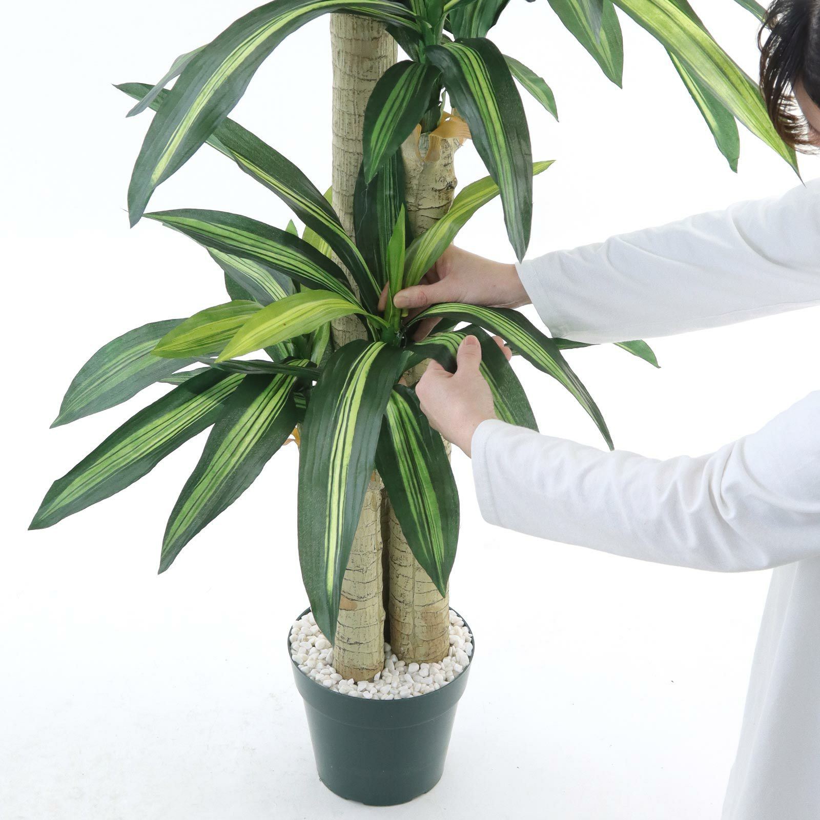 No8123 プレミアム光触媒フェイクグリーン 「爽やかな葉色 × 安定感