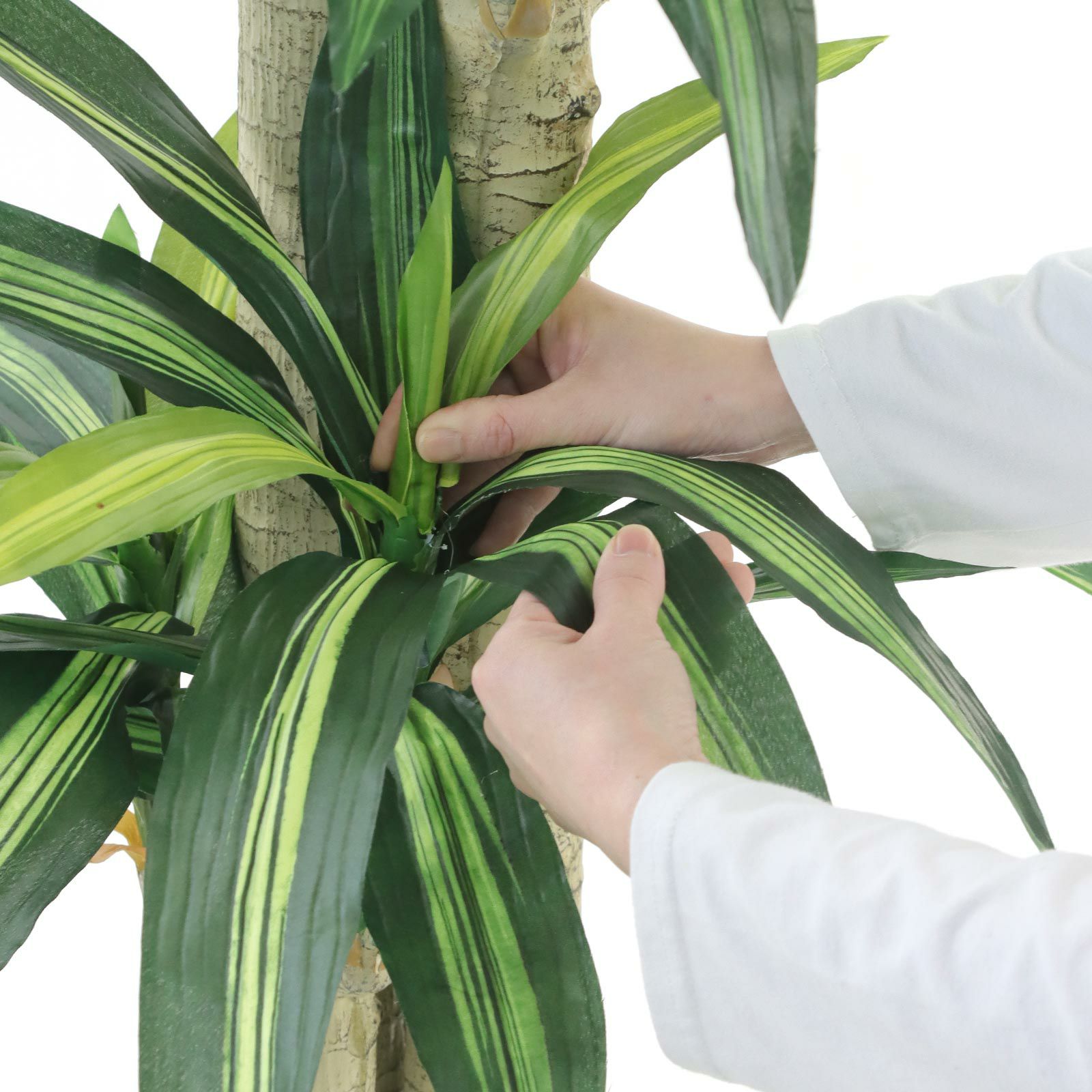 No8123 プレミアム光触媒フェイクグリーン 「爽やかな葉色 × 安定感