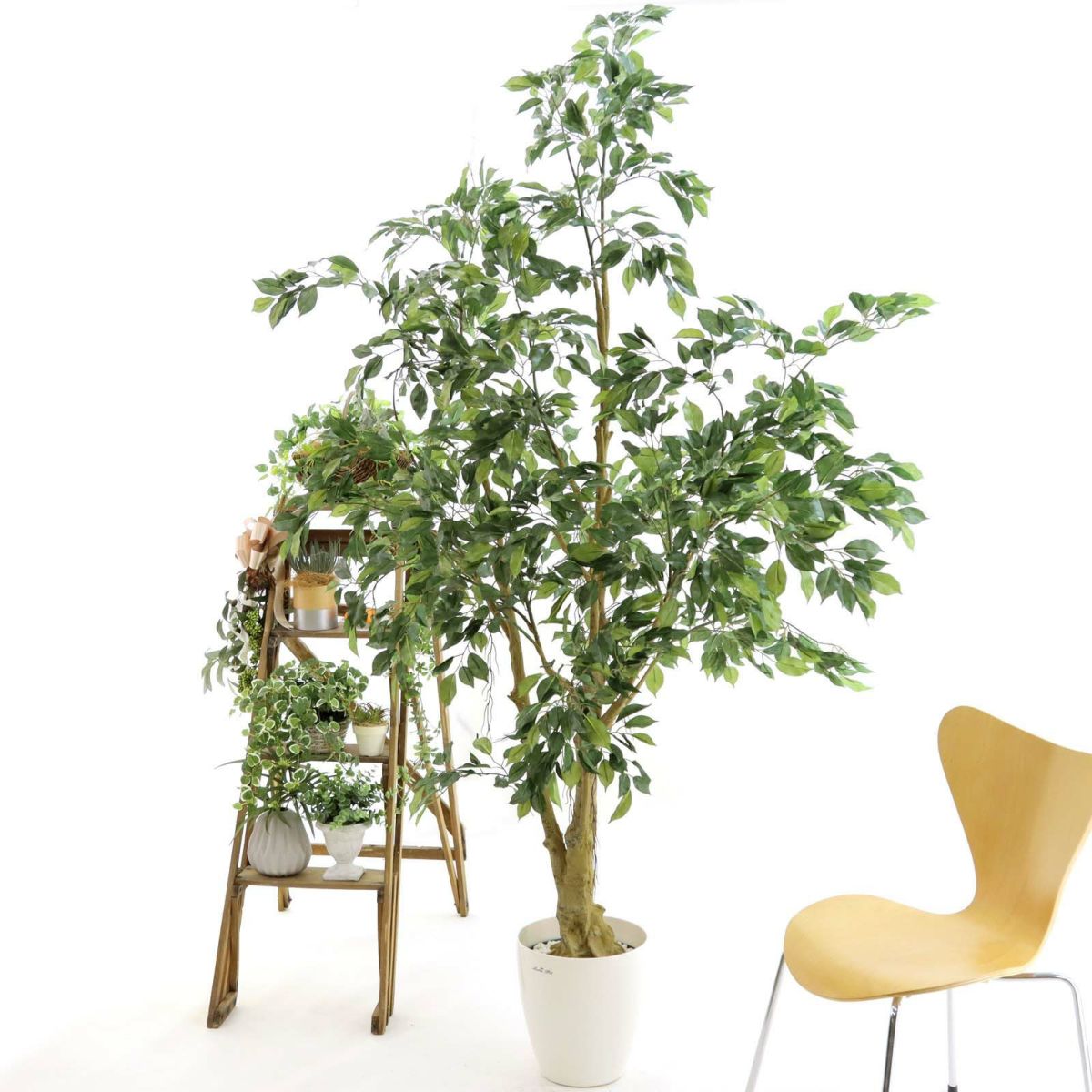 ラスターポット265（+1500円）