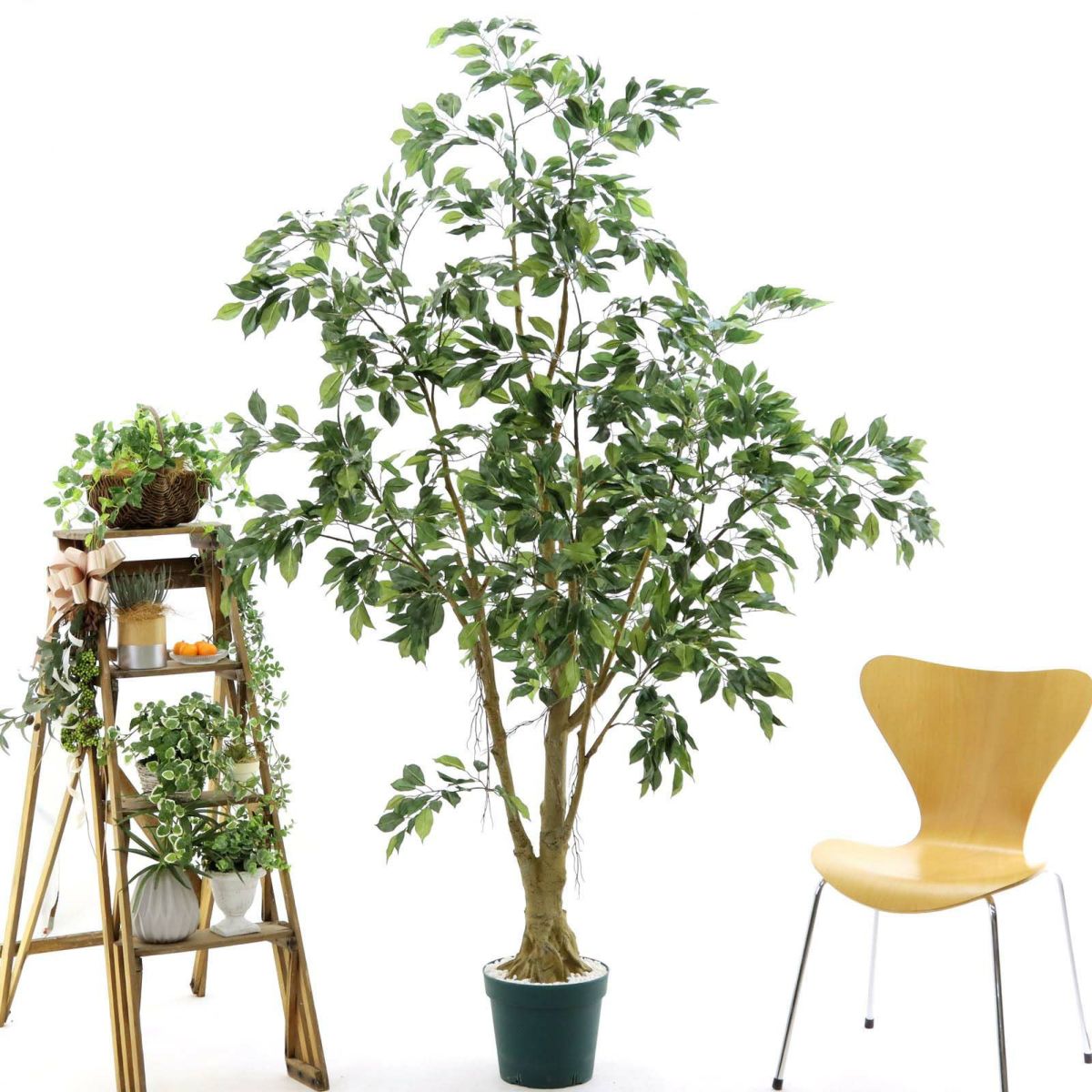 プラ鉢（+0円）