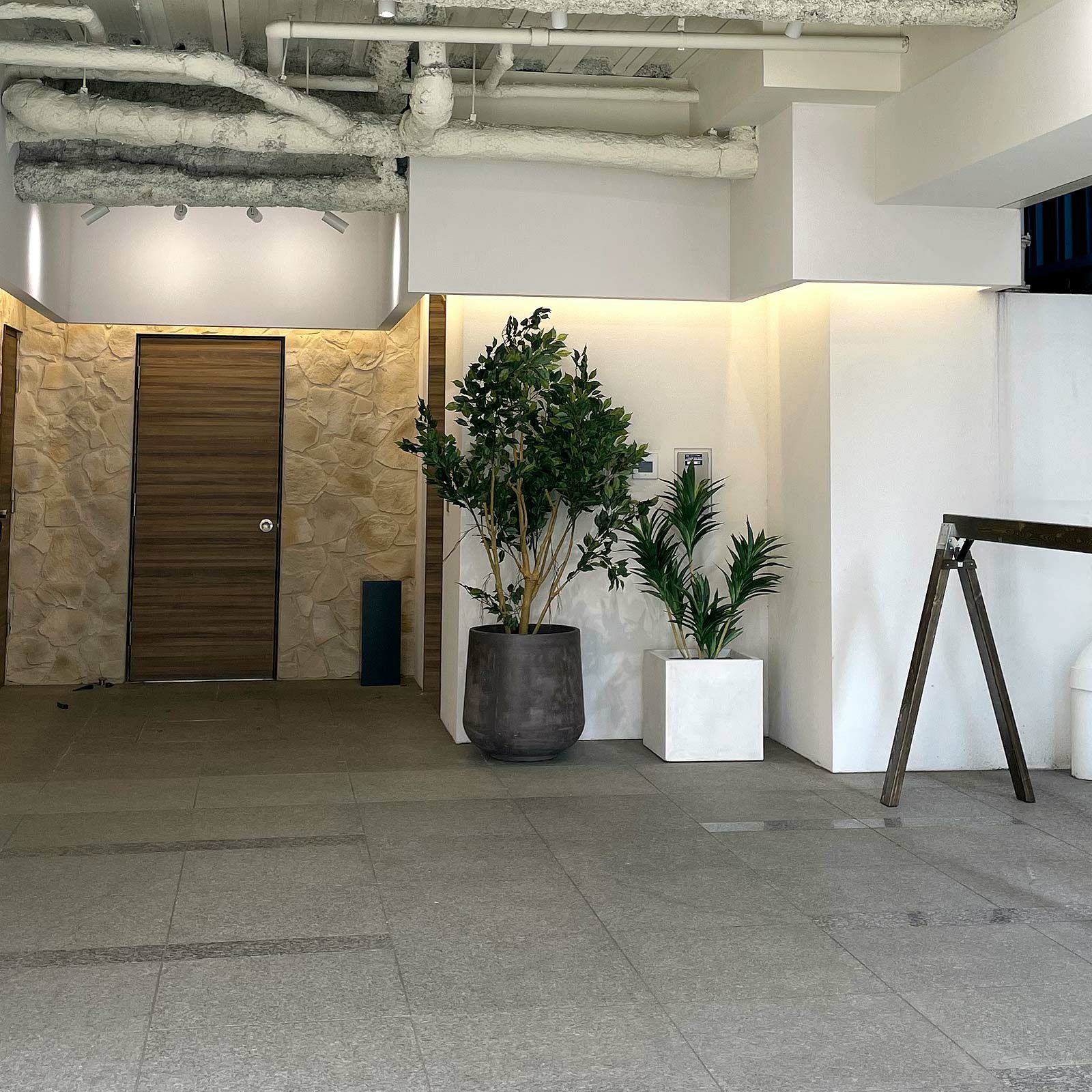 No8127 プレミアム光触媒フェイクグリーン 「圧巻の存在感