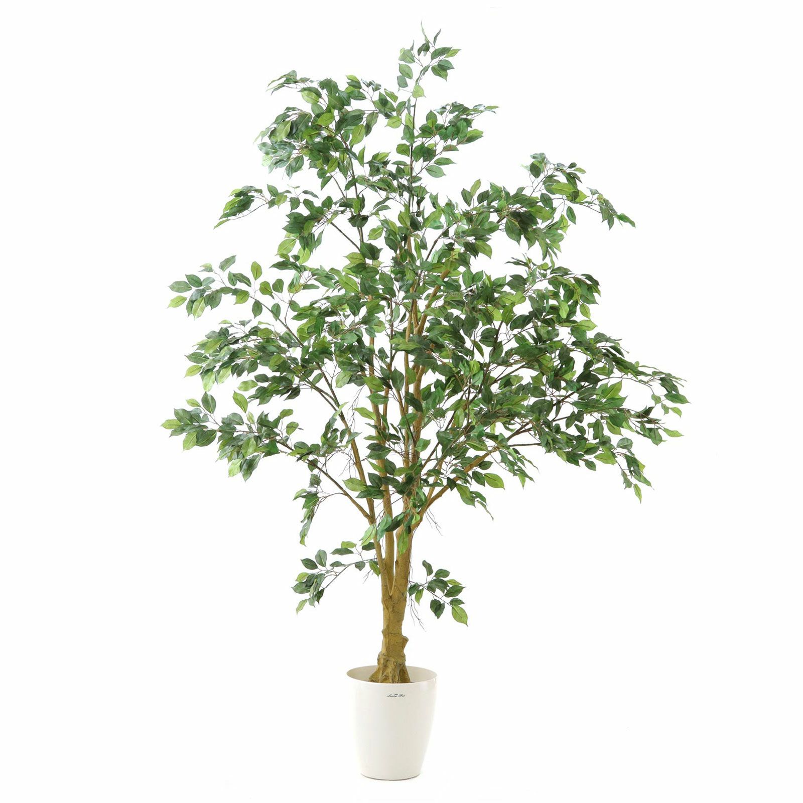 光触媒　人工観葉植物　ウォール　フェイクグリーン　ベンジャミンワイド200FST 光触媒 人工観葉植物 ウォールグリーン フェイクグリーン