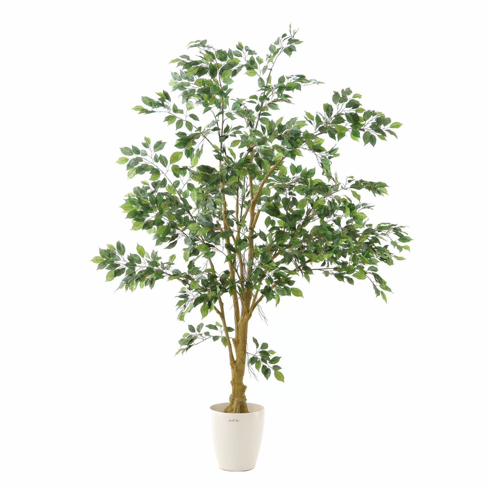 光触媒　人工観葉植物　フェイクグリーン　デザインベンジャミン1.6 観葉植物 ベンジャミン フェイクグリーン 人工 室内 リビング オフィス