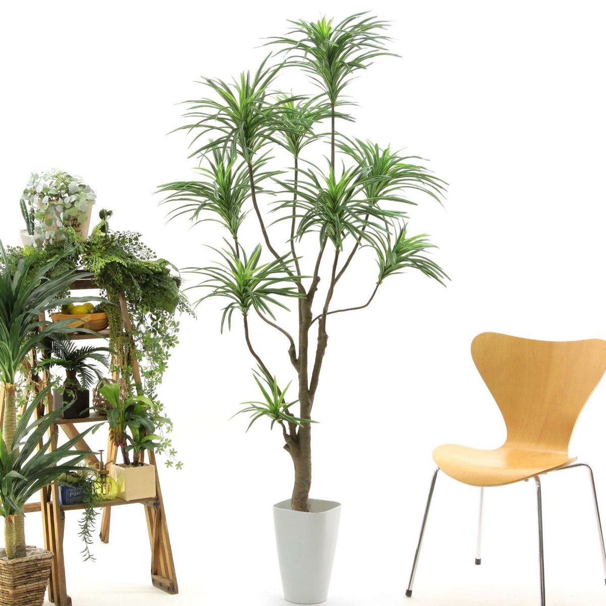 スマートポットCHIC8（+1000円）