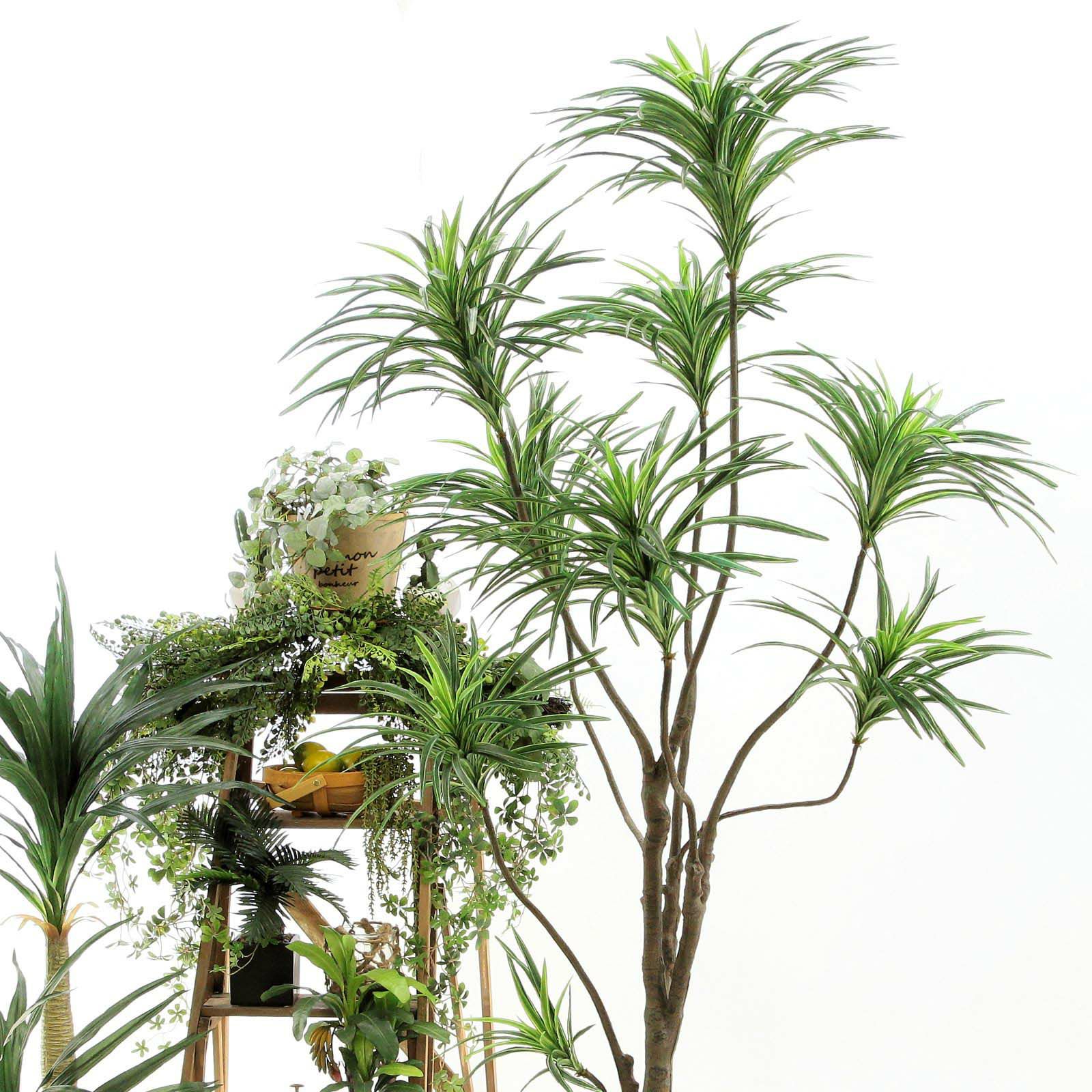 000000000038-03.jpg?t=