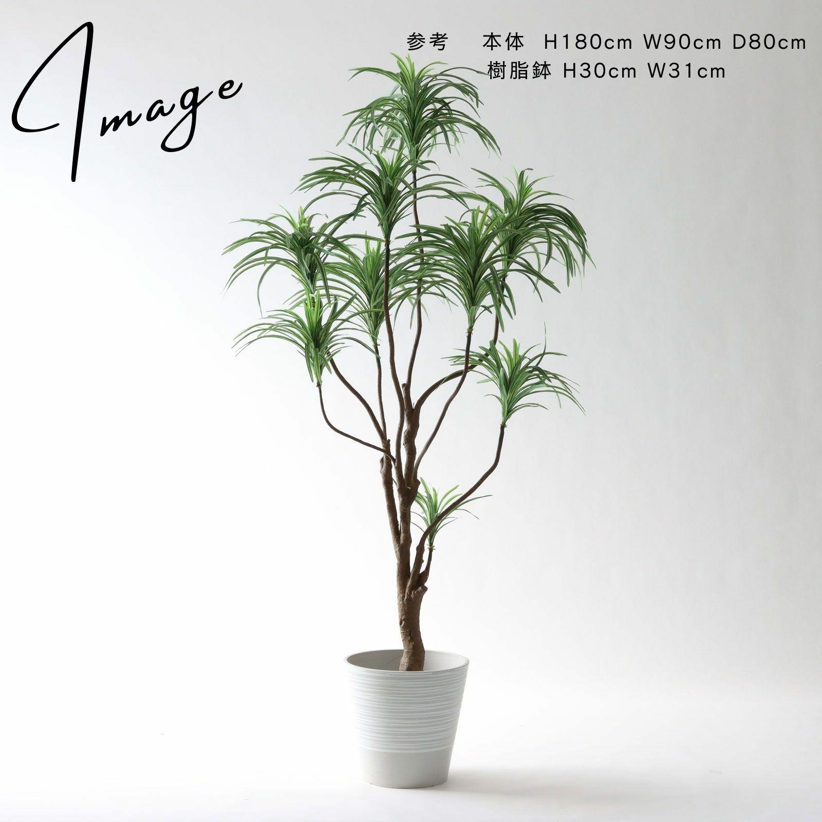 光触媒 人工観葉植物 ウォールきグリーン フェイクグリーン ドラセナ