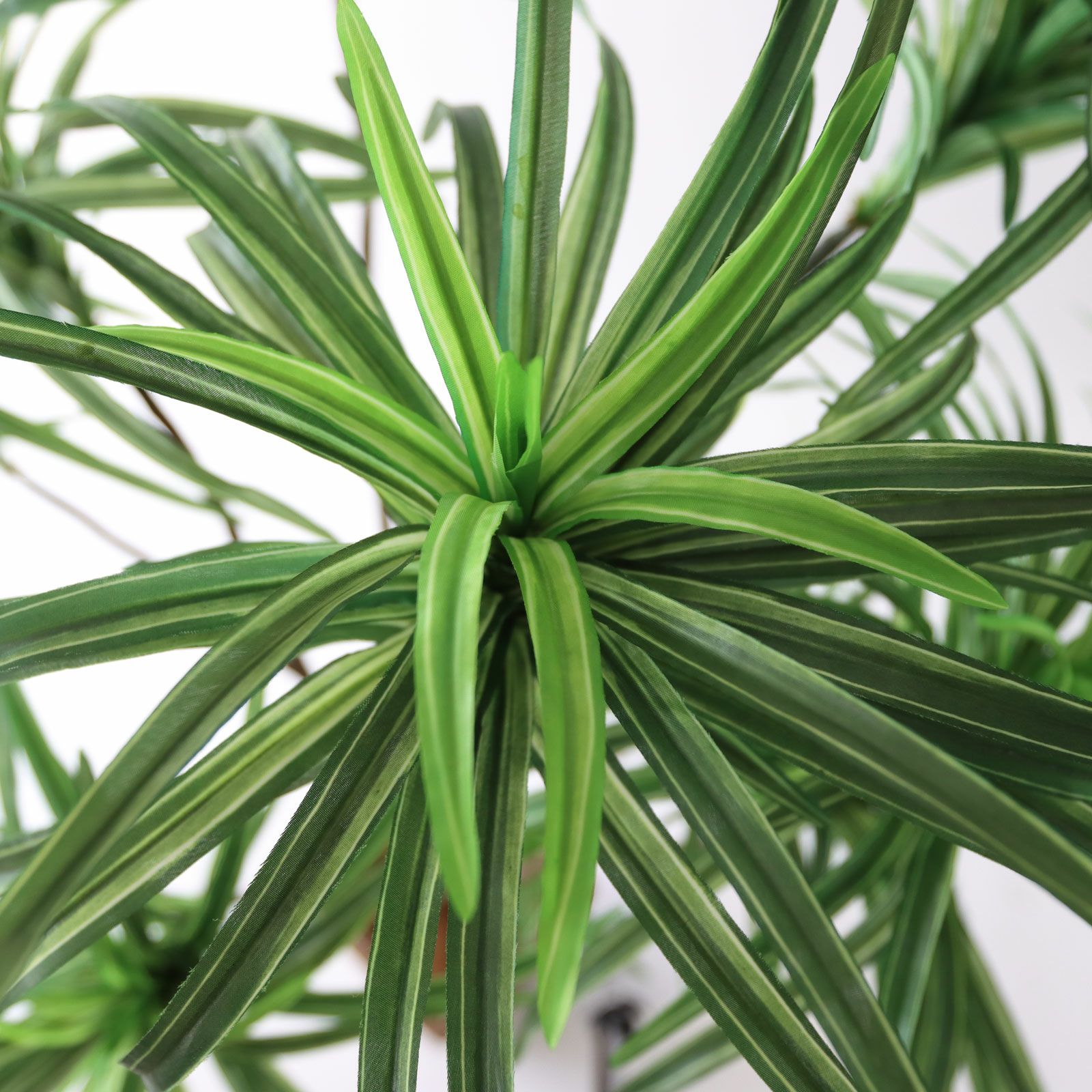 No8182 プレミアム光触媒フェイクグリーン「枝を自由に曲げて × 空間に