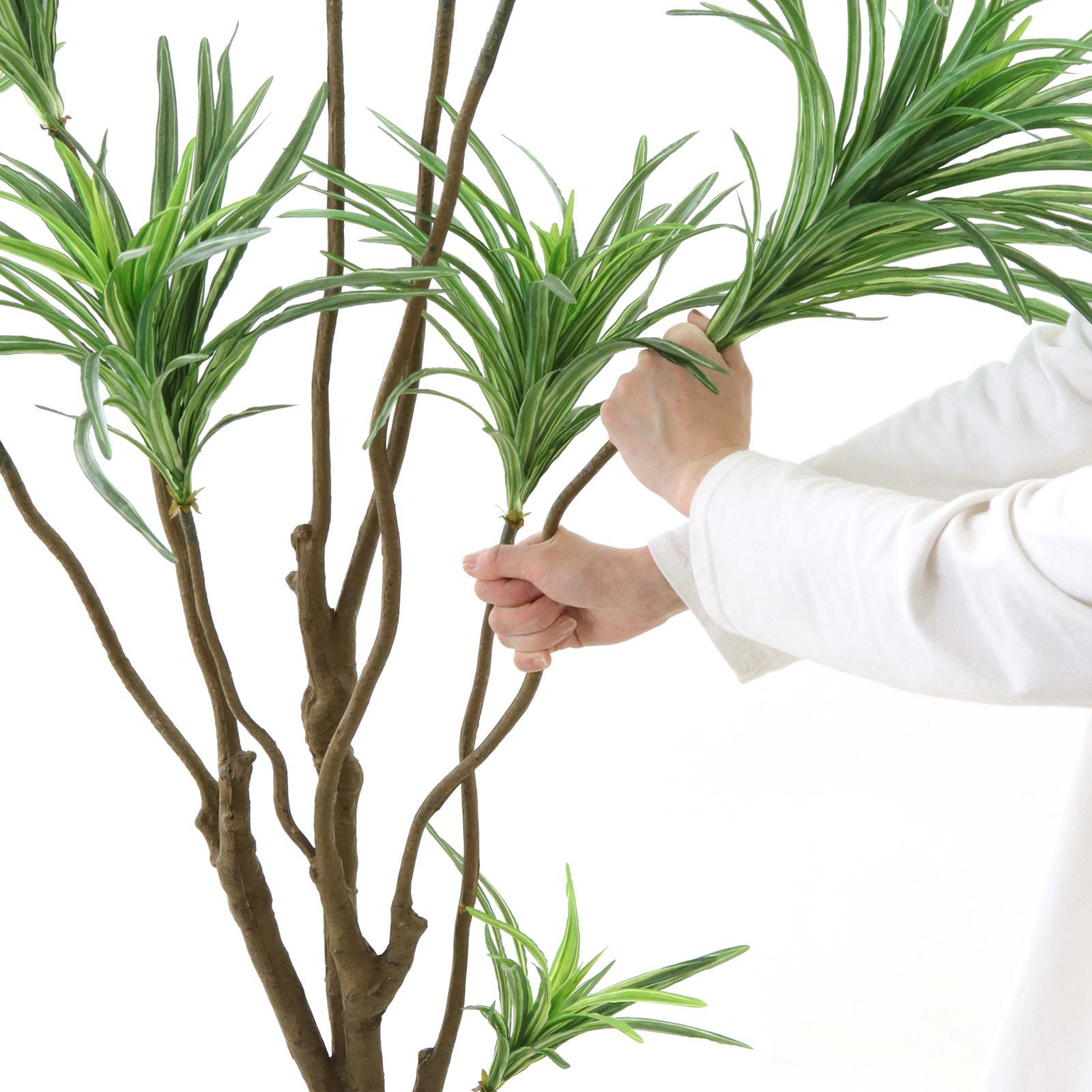 光触媒　人工観葉植物　ウォールグリーン　フェイクグリーン　ドラセナコンシンネ18 No8182 プレミアム光触媒フェイクグリーン「枝を自由に曲げて