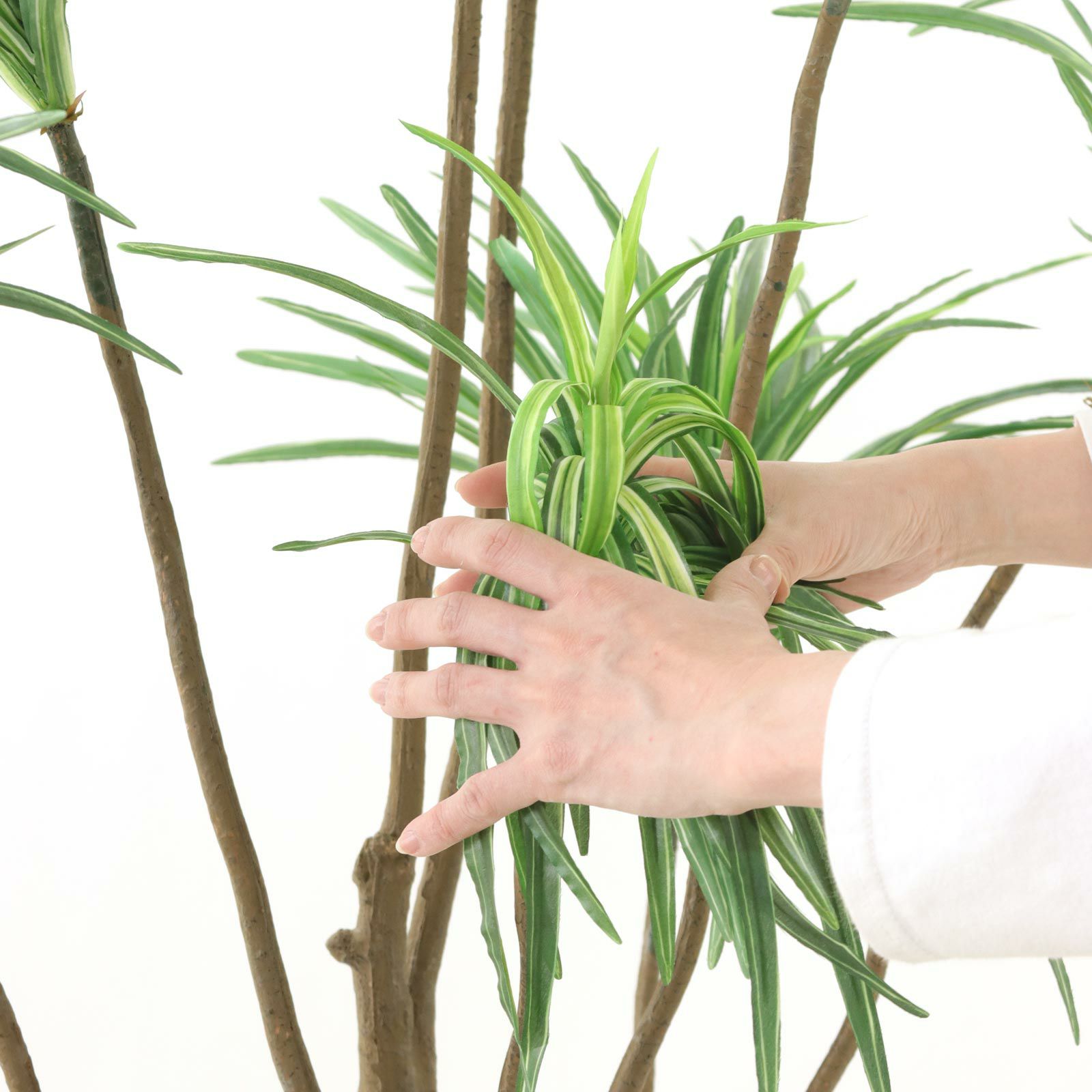 光触媒　人工観葉植物　ウォールグリーン　フェイクグリーン　コンシンネr13067 光触媒 人工観葉植物 ウォールグリーン フェイクグリーン