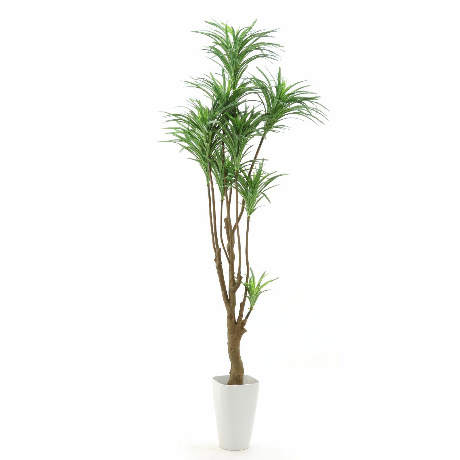 No8182 プレミアム光触媒フェイクグリーン「枝を自由に曲げて × 空間に