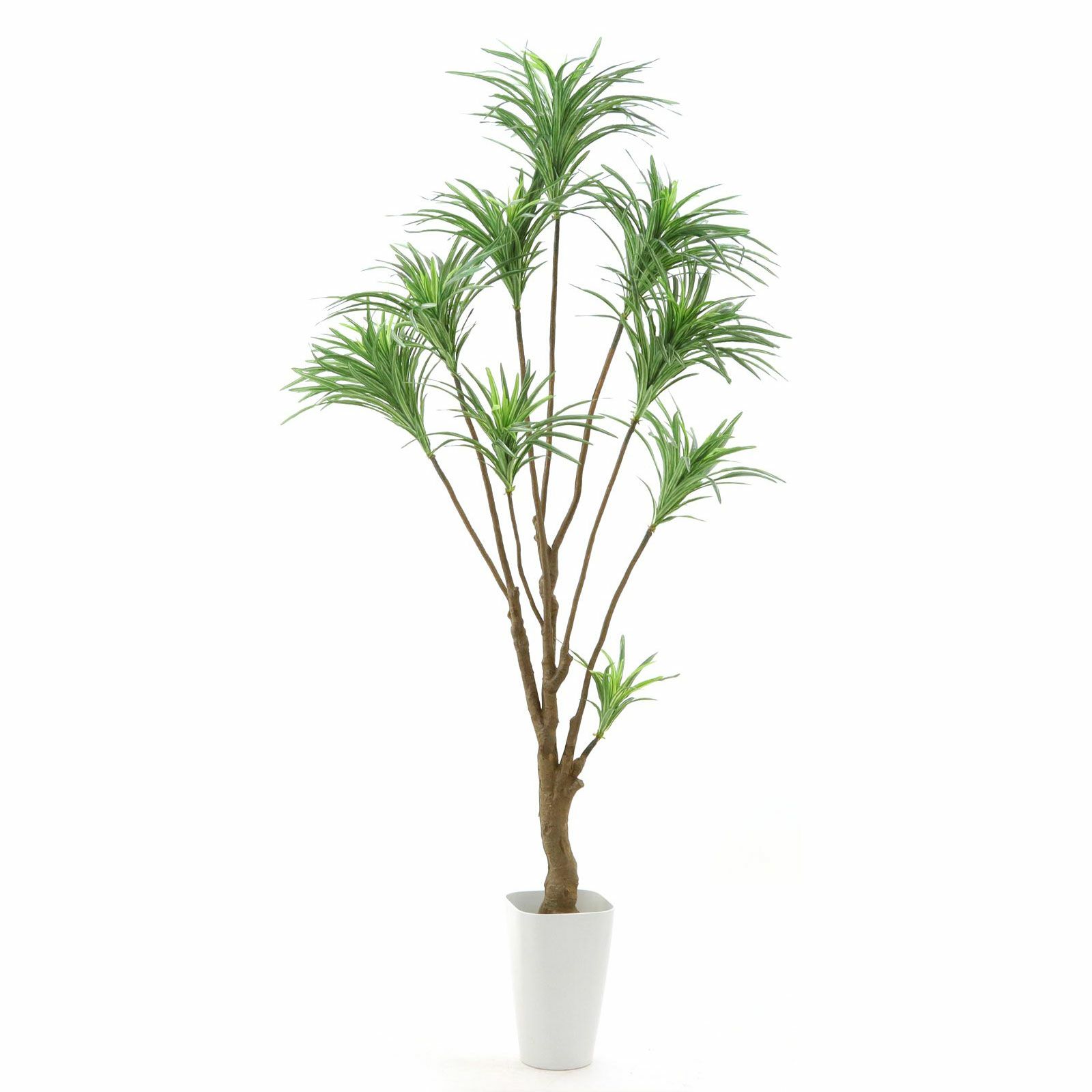 000000000038-23.jpg?t=