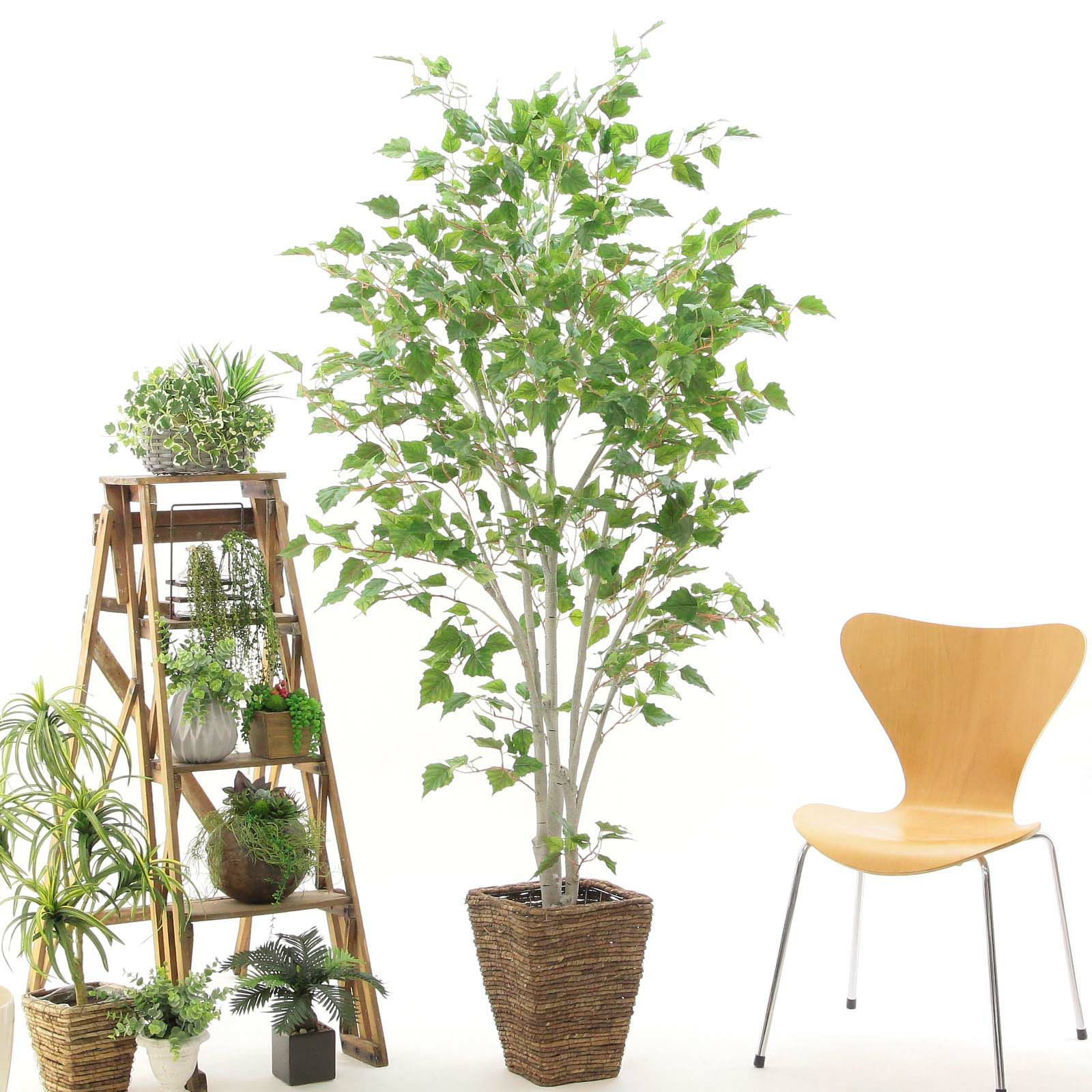 光触媒人工観葉植物ウォールグリーンフェイクグリーン白樺パーチ 光触媒人工観葉植物ウォールグリーンフェイクグリーン白樺パーチ