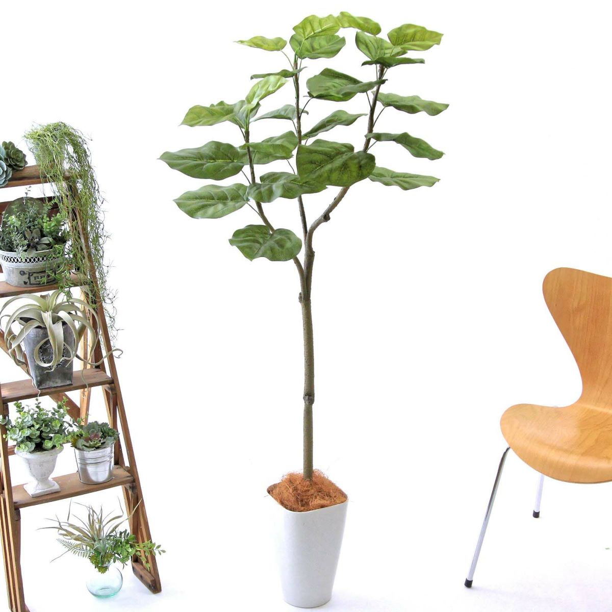 スマートポットCHIC8＋ヤシの繊維（+1500円）