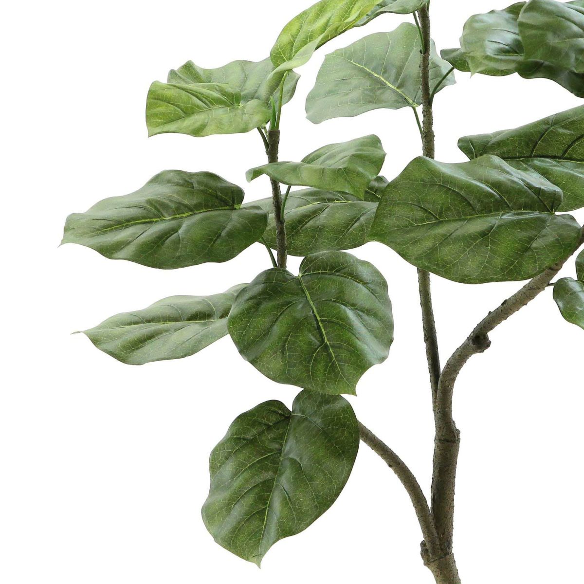 フェイクグリーン の フィカスウンベラータ です