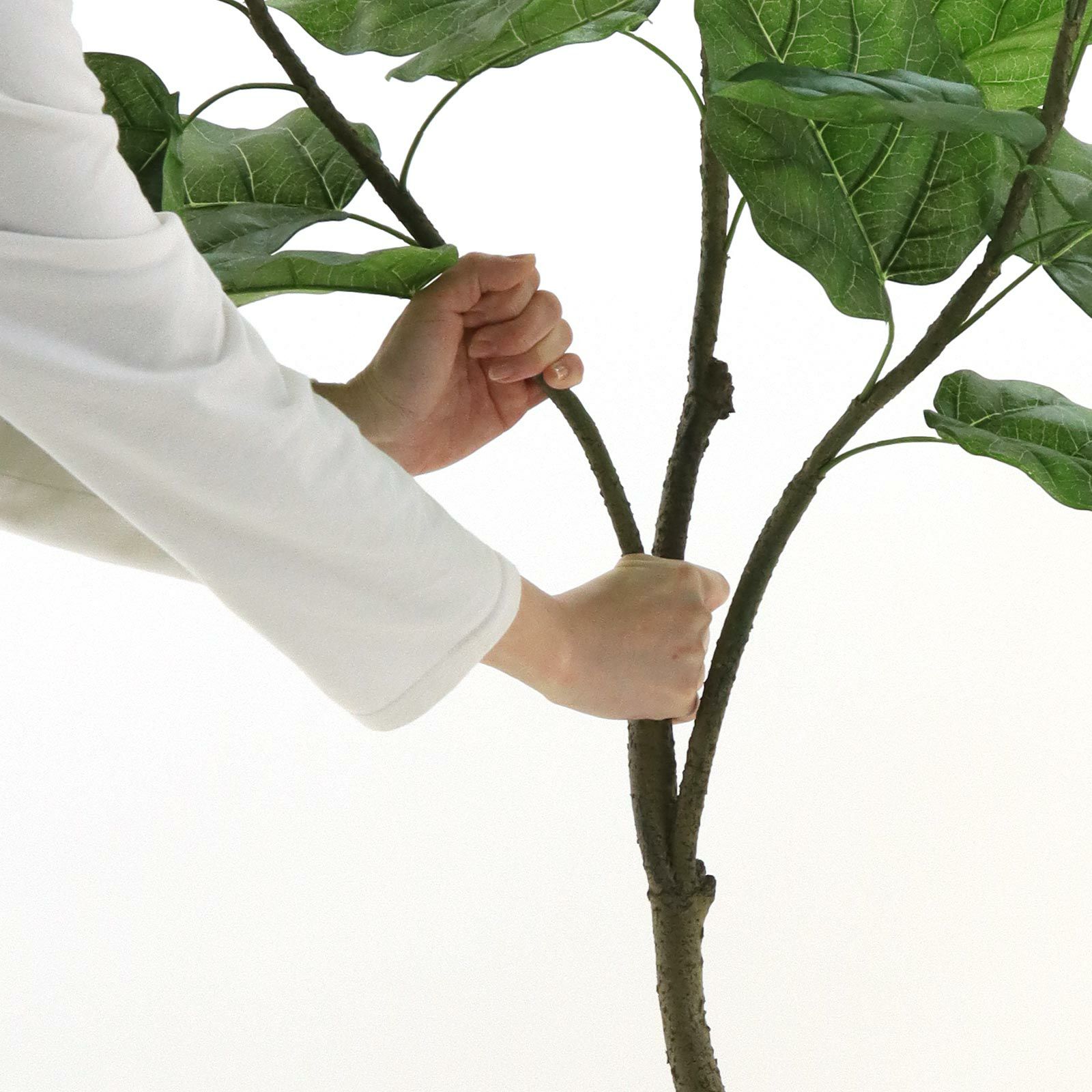 光触媒　人工観葉植物　フェイクグリーン　クネクネウンベラータwa 光触媒 人工観葉植物 ウォールグリーン フェイクグリーン